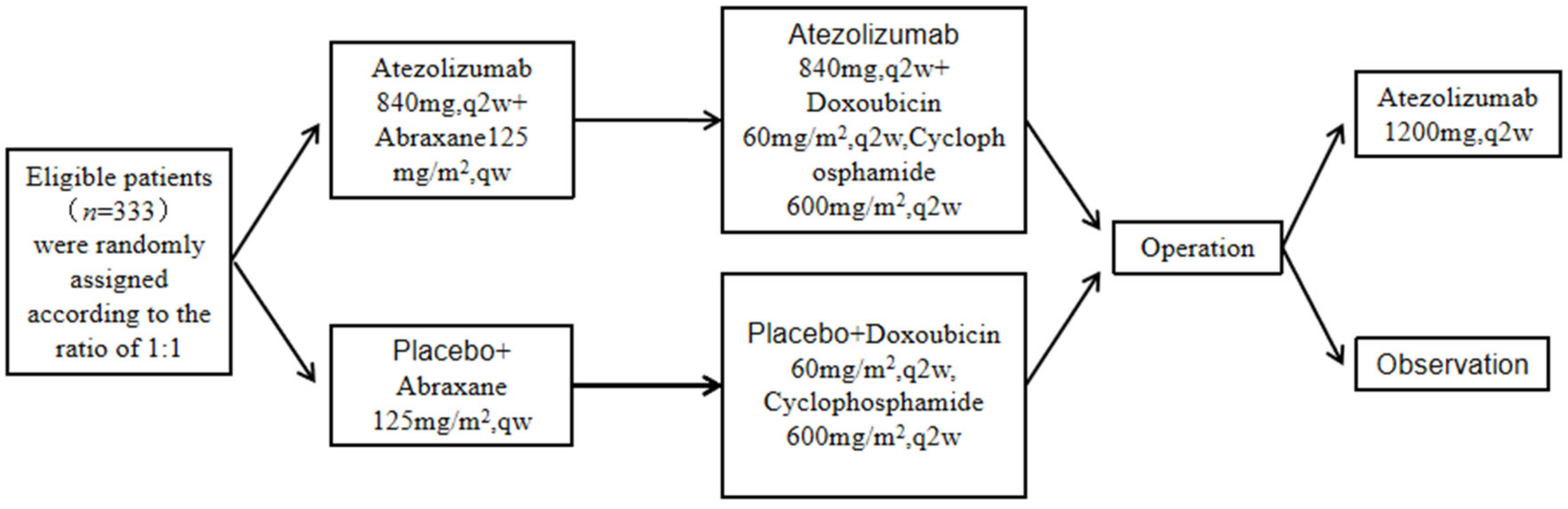 Cancers 15 00563 g004