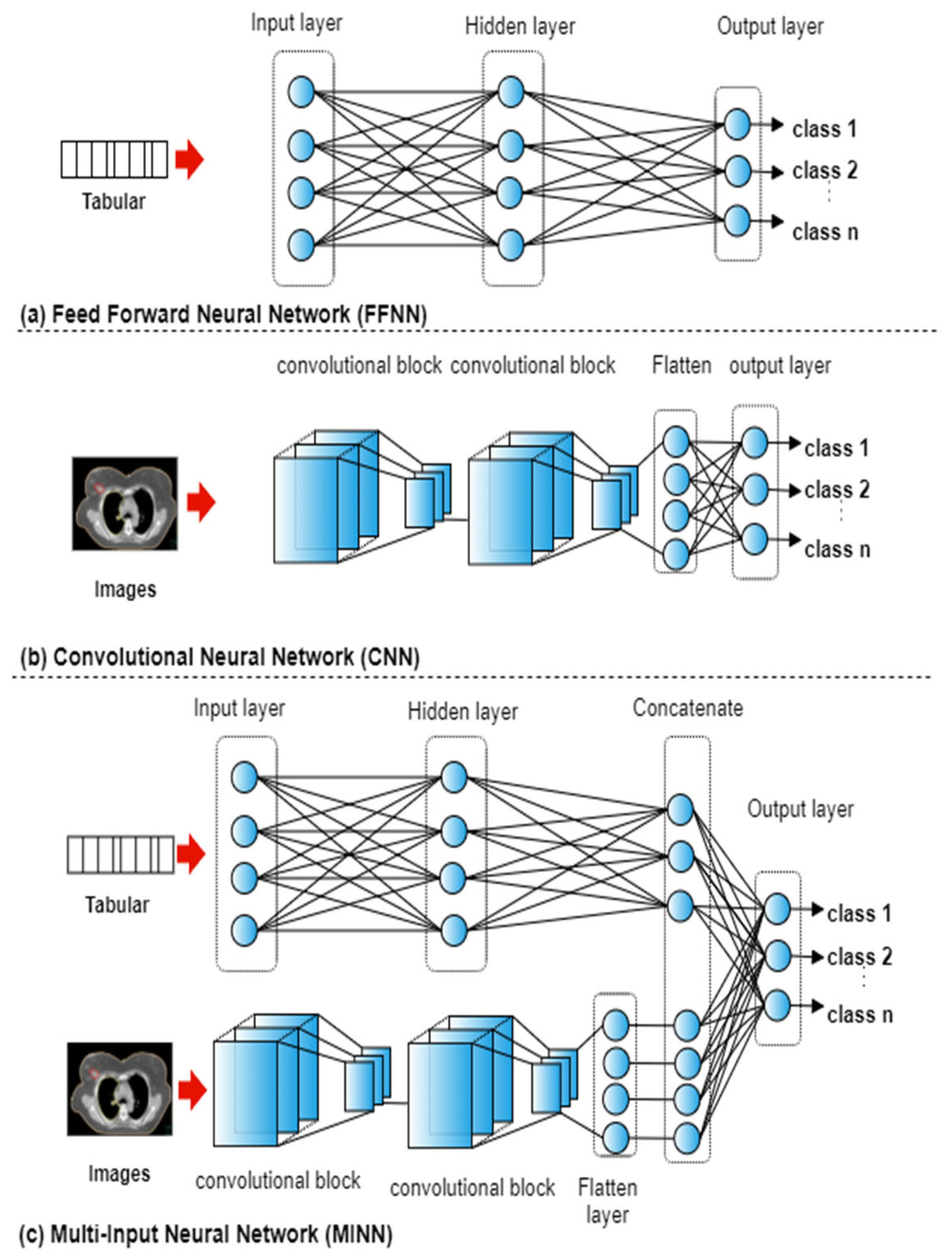 Cancers 15 00564 g002