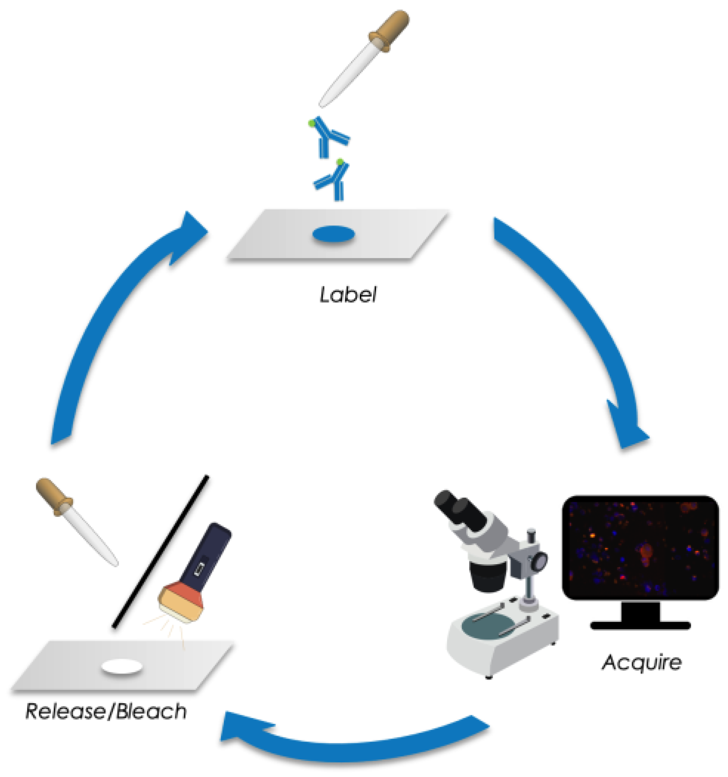 Cancers 15 00568 g001