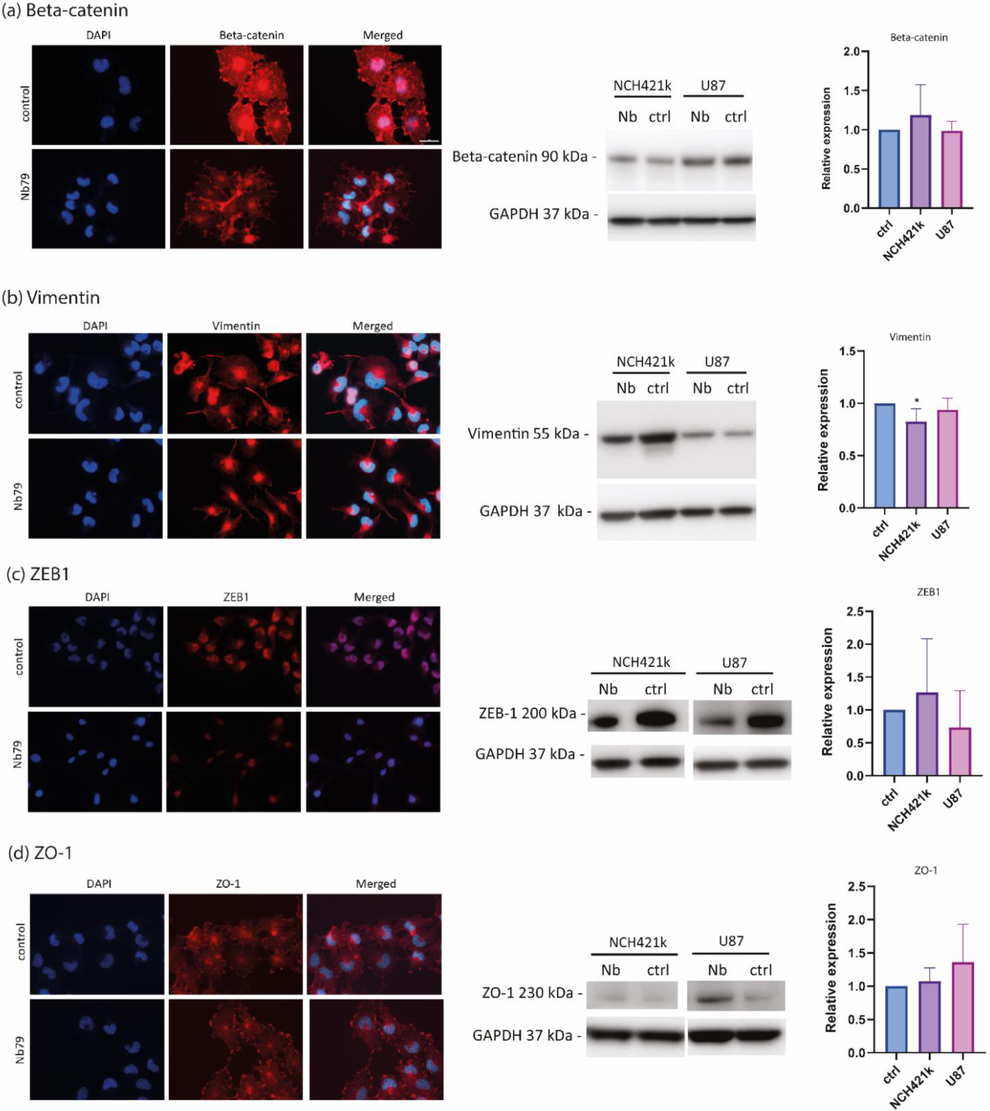 Cancers 15 00573 g004 Cancers 15 00573 g004