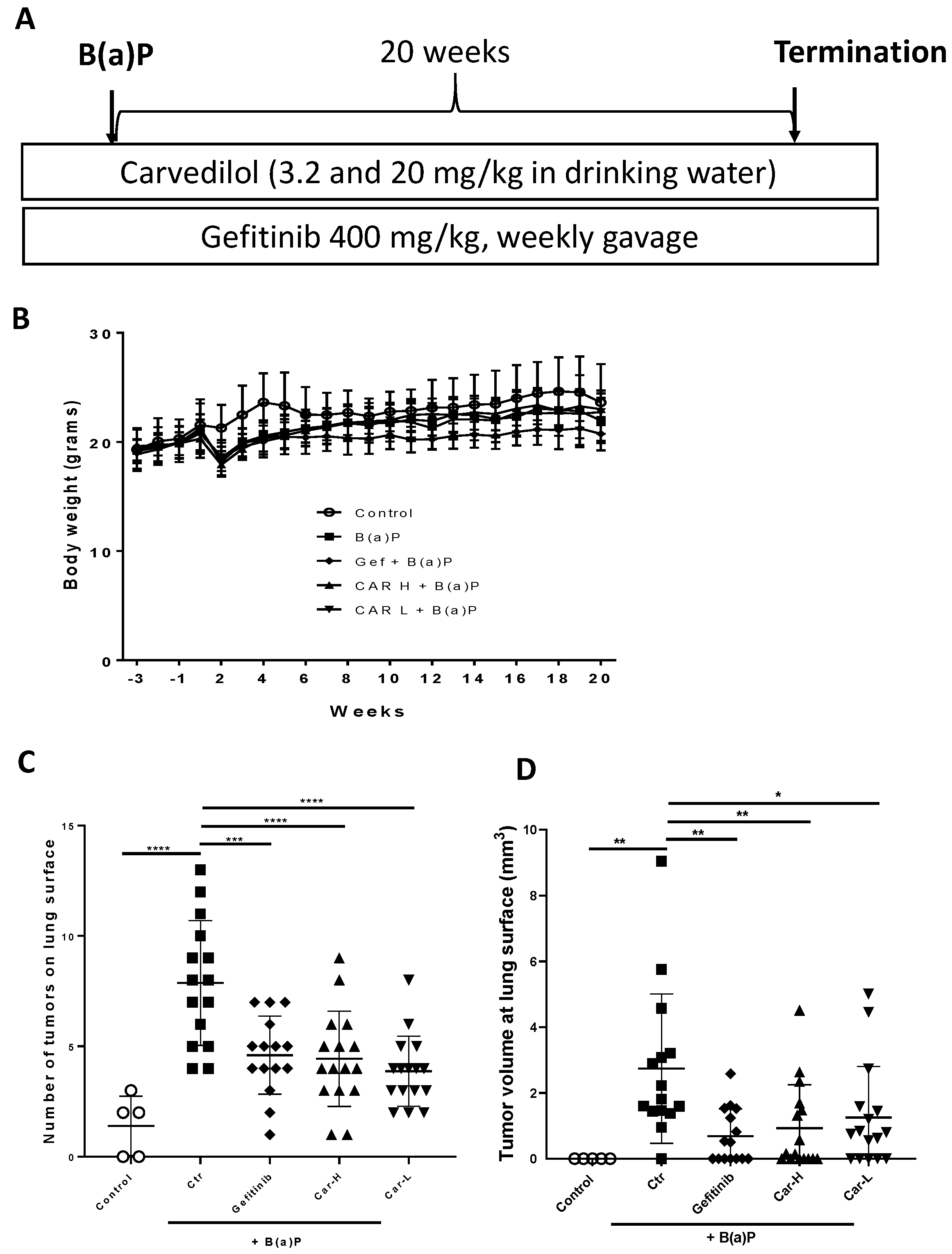 Cancers 15 00583 g004