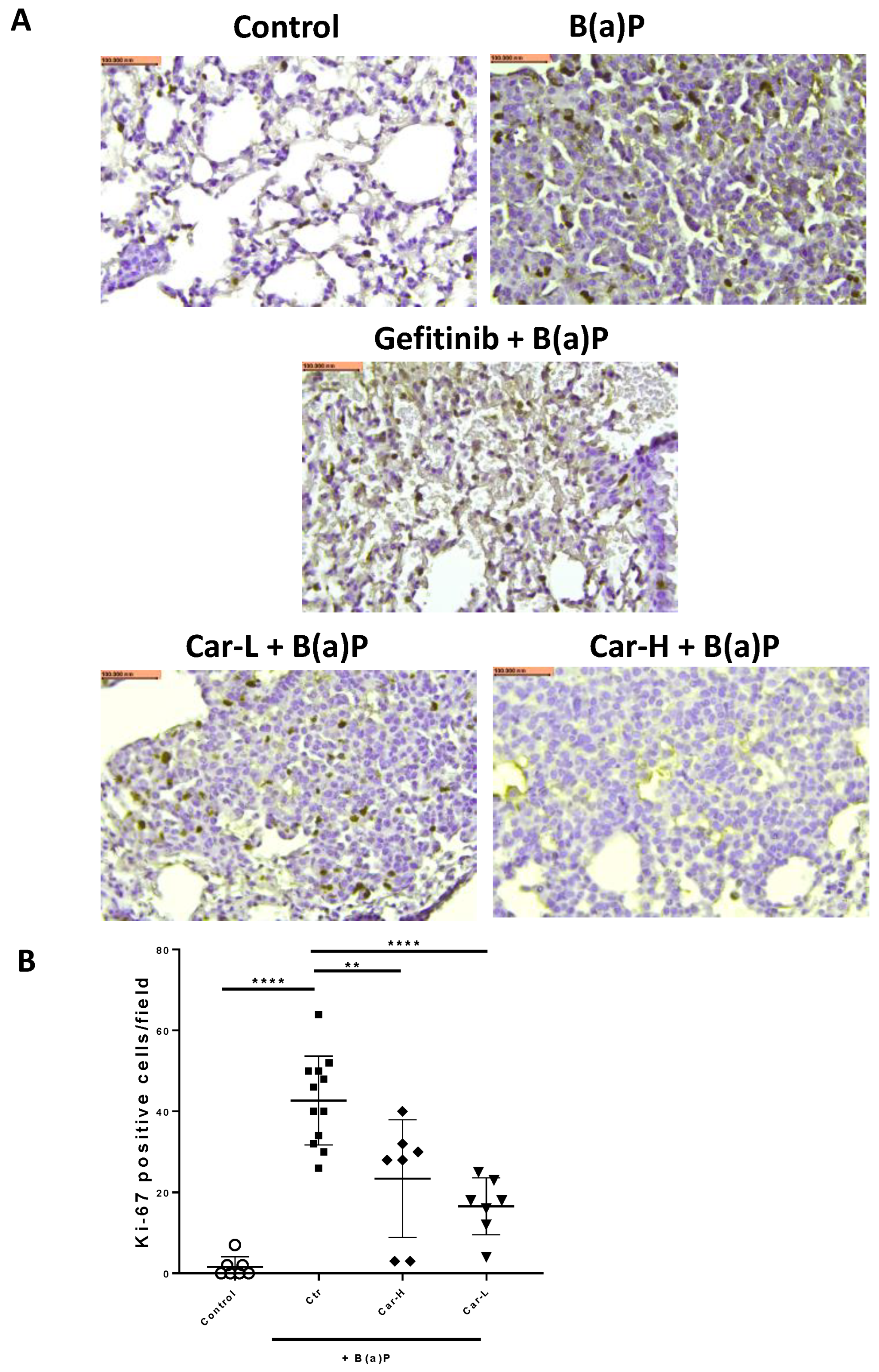 Cancers 15 00583 g006