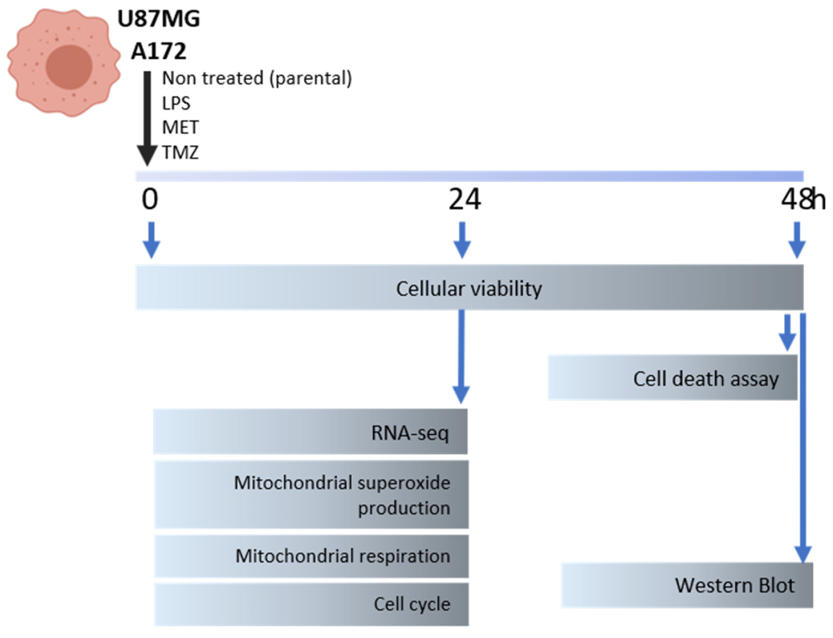 Cancers 15 00587 g001 Cancers 15 00587 g001