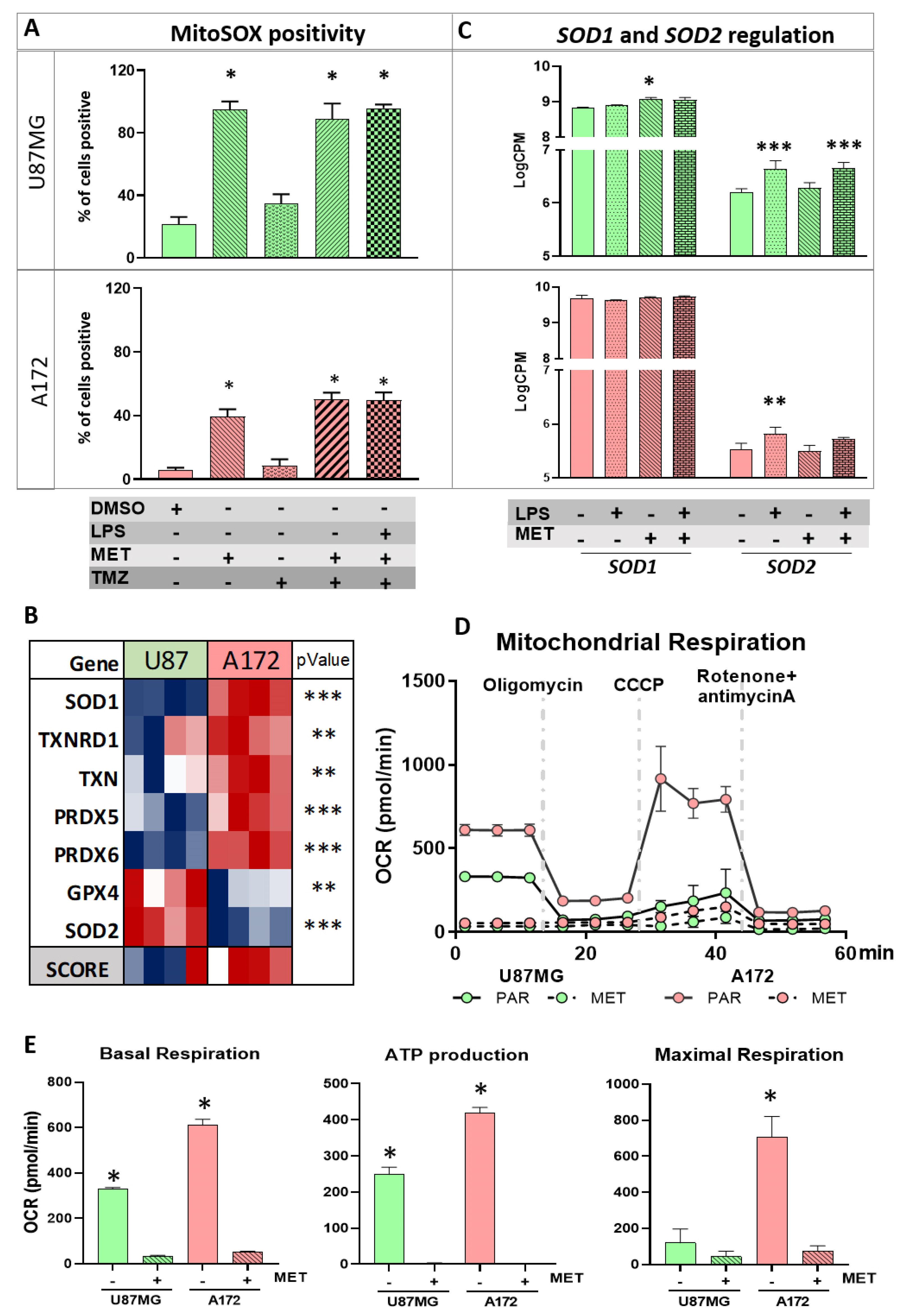 Cancers 15 00587 g004 Cancers 15 00587 g004