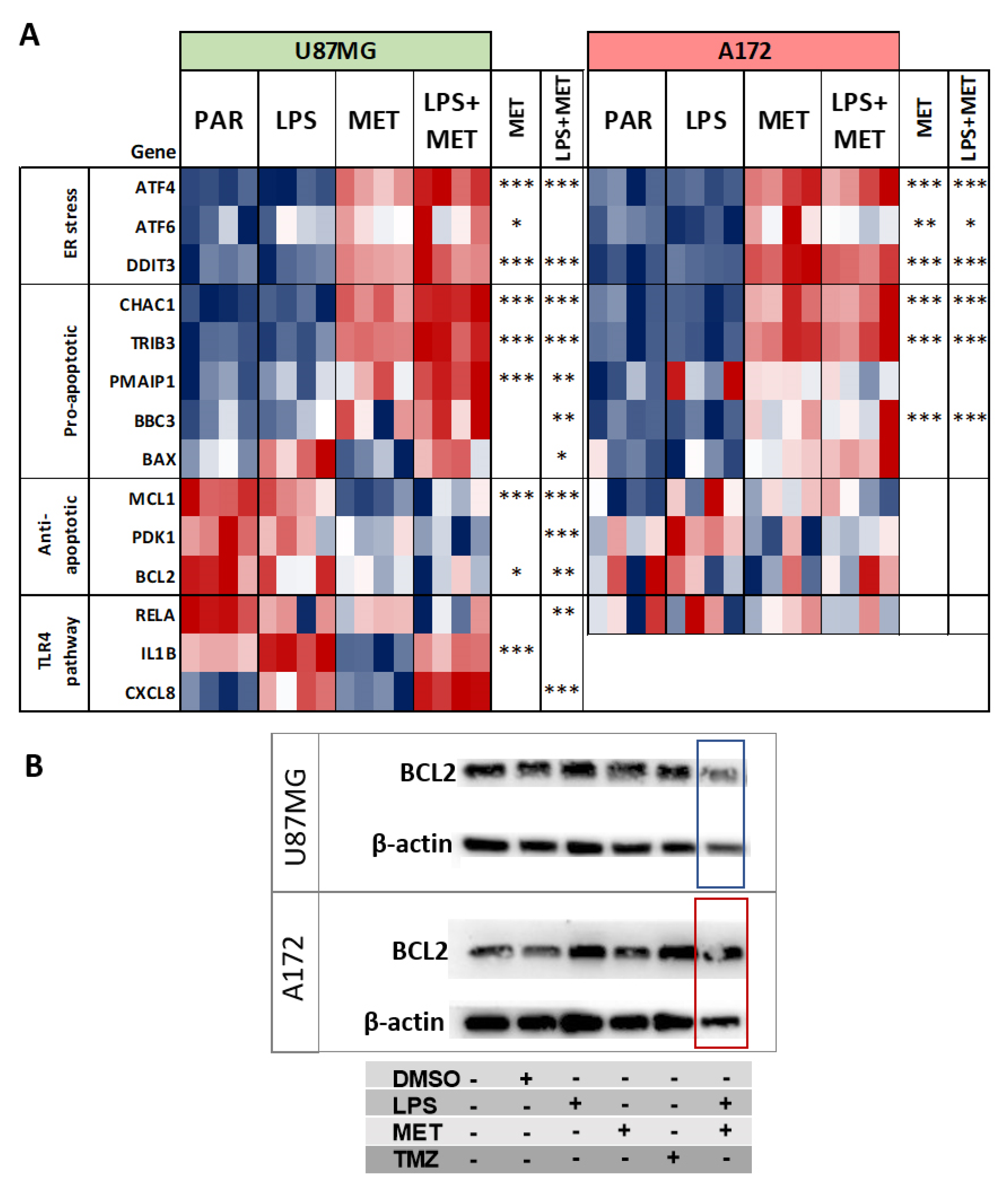 Cancers 15 00587 g006 Cancers 15 00587 g006