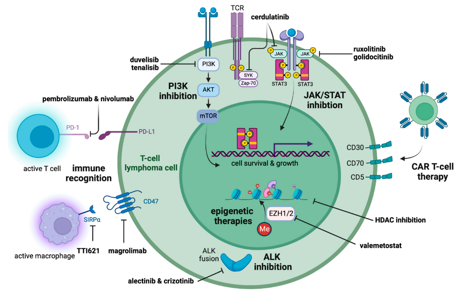 Cancers 15 00589 g001 Cancers 15 00589 g001
