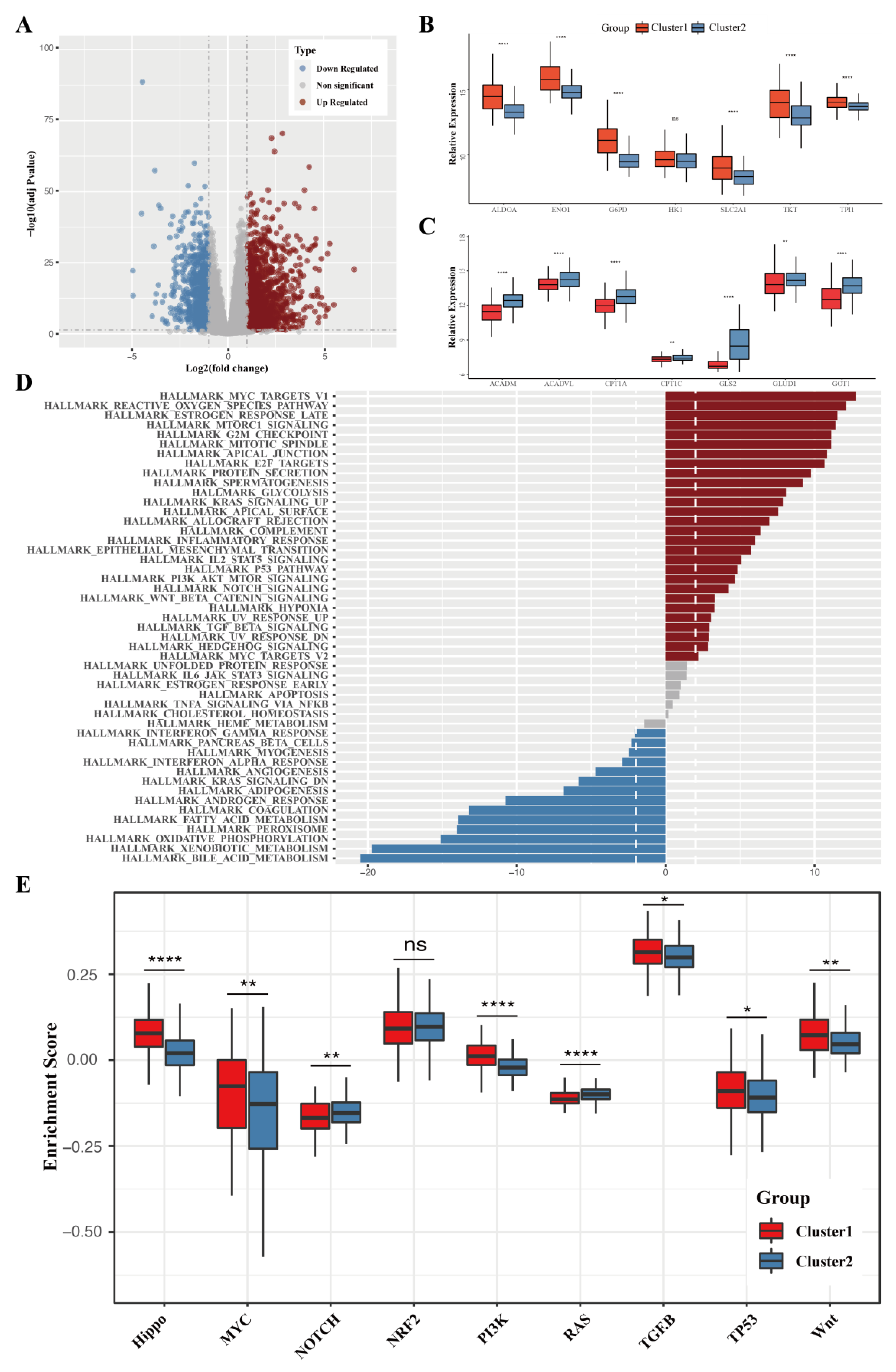 Cancers 15 00592 g002 Cancers 15 00592 g002