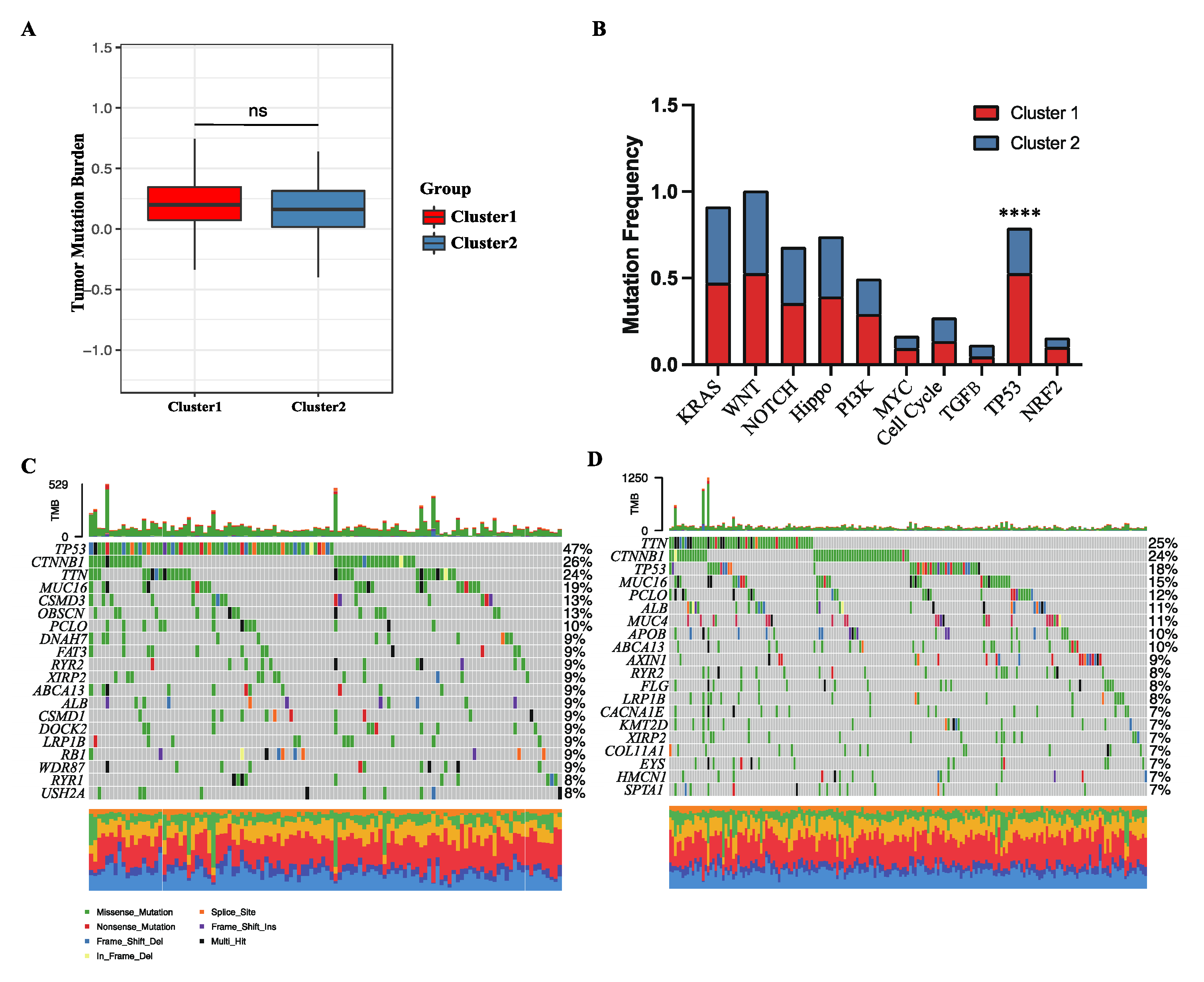 Cancers 15 00592 g003 Cancers 15 00592 g003