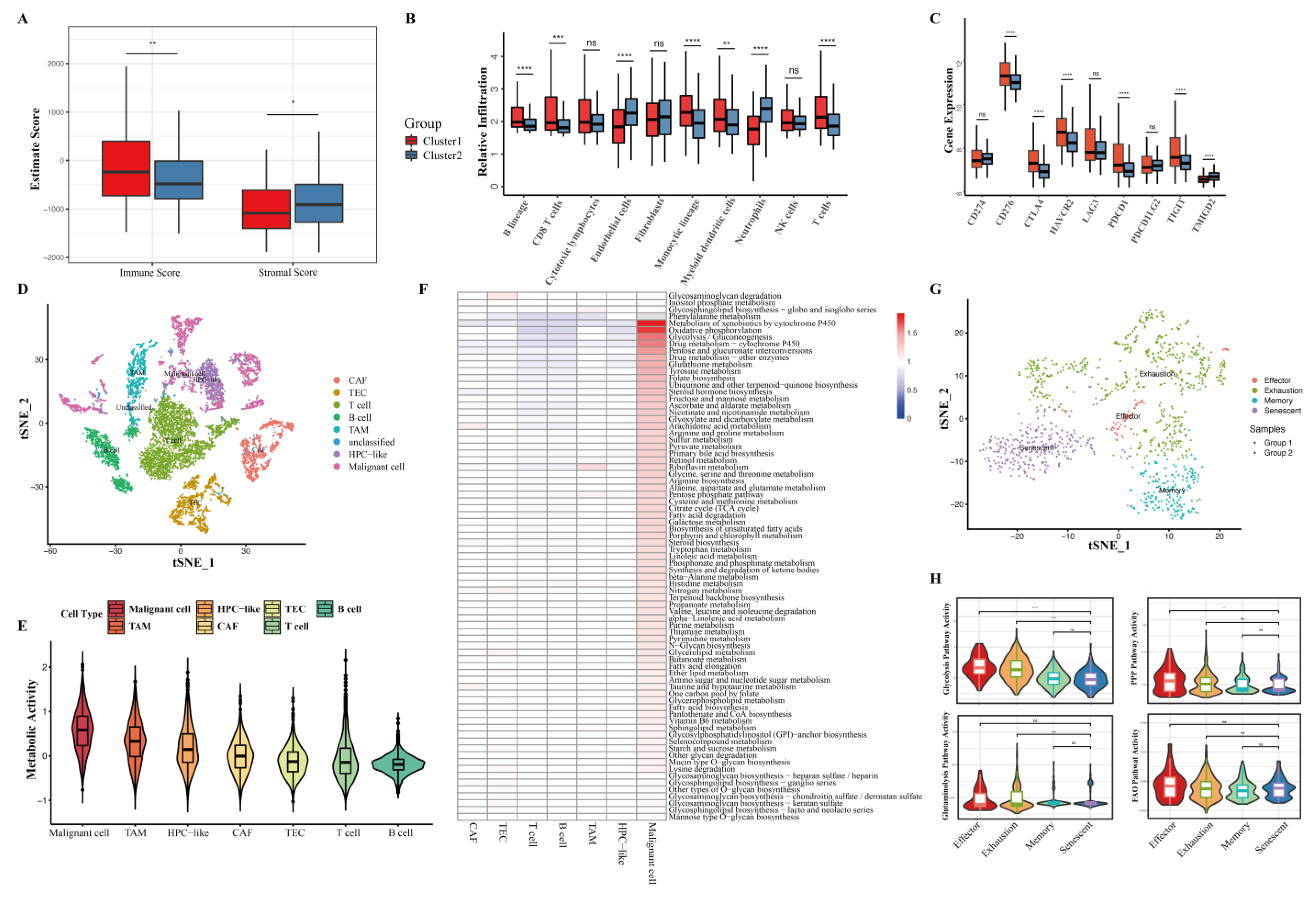 Cancers 15 00592 g006 Cancers 15 00592 g006