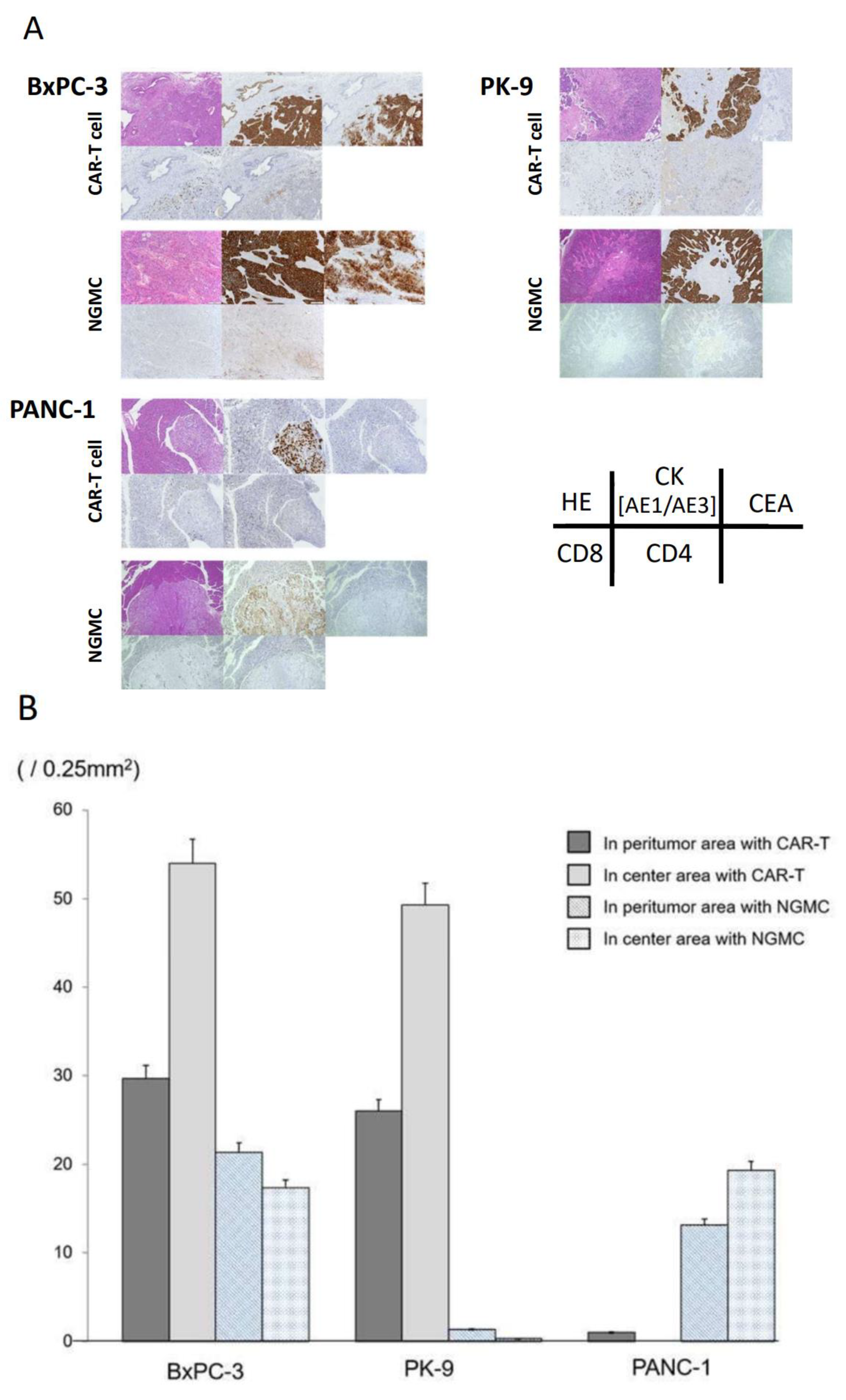 Cancers 15 00601 g006 Cancers 15 00601 g006