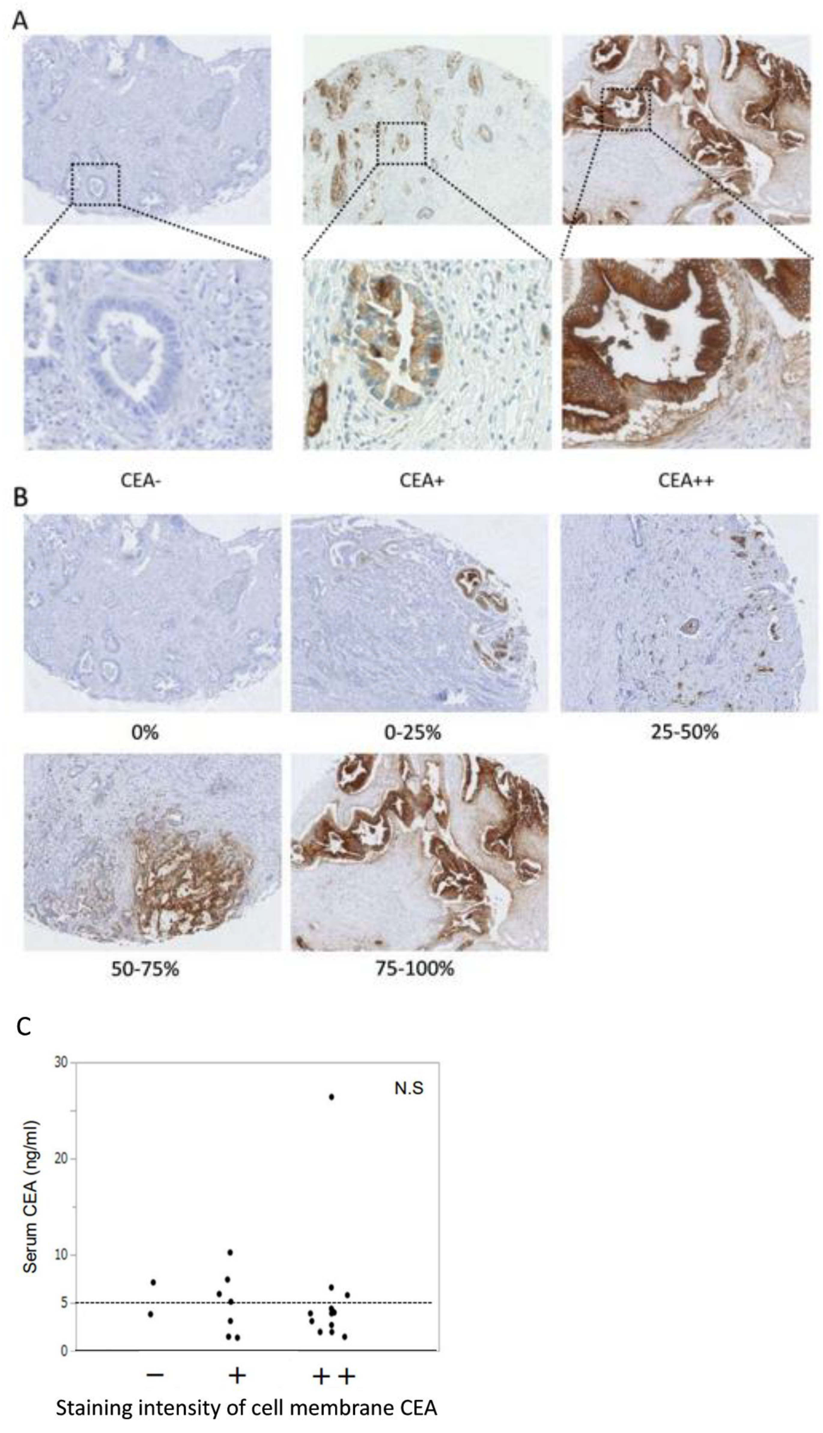 Cancers 15 00601 g008 Cancers 15 00601 g008