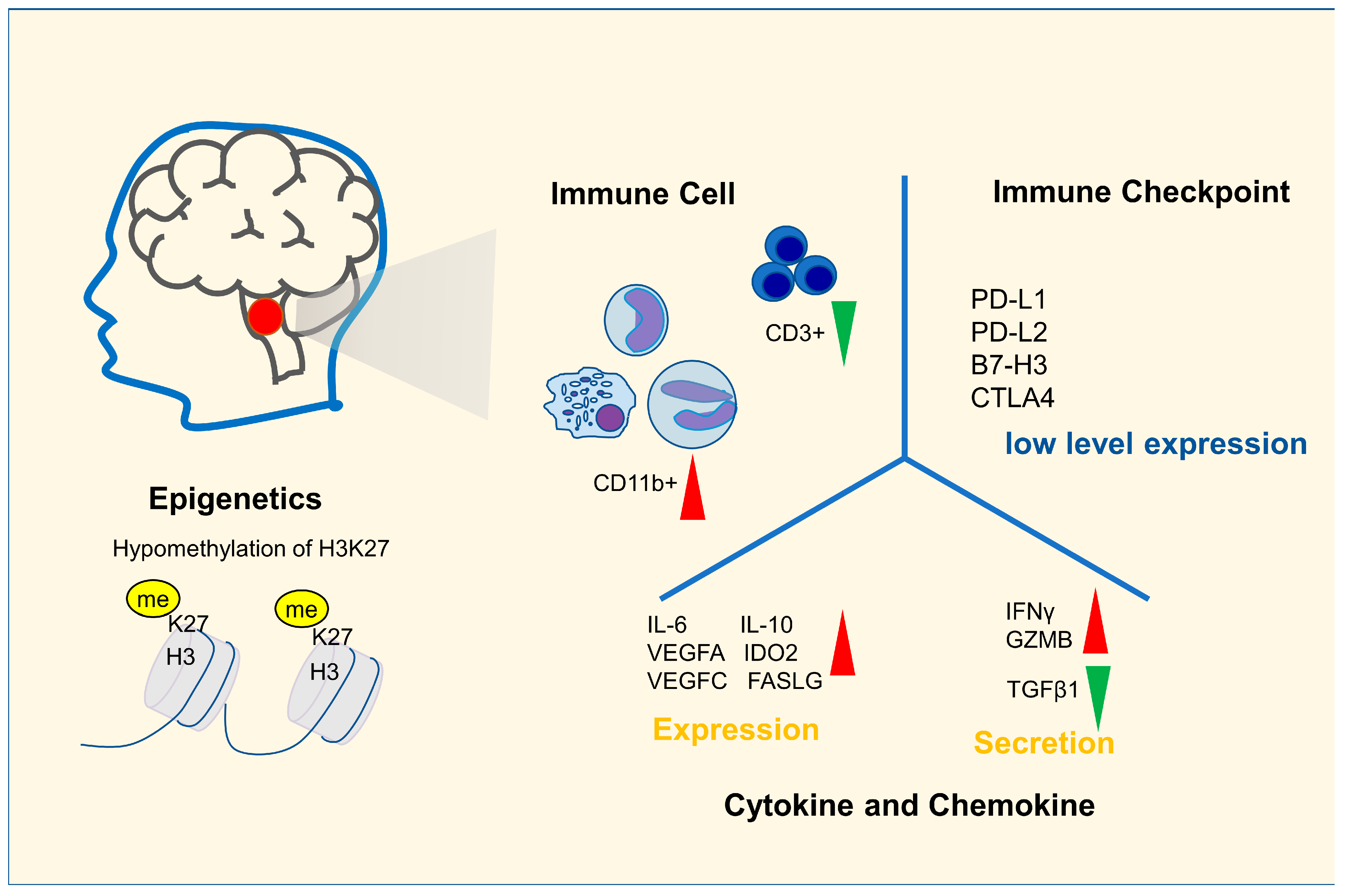 Cancers 15 00602 g001