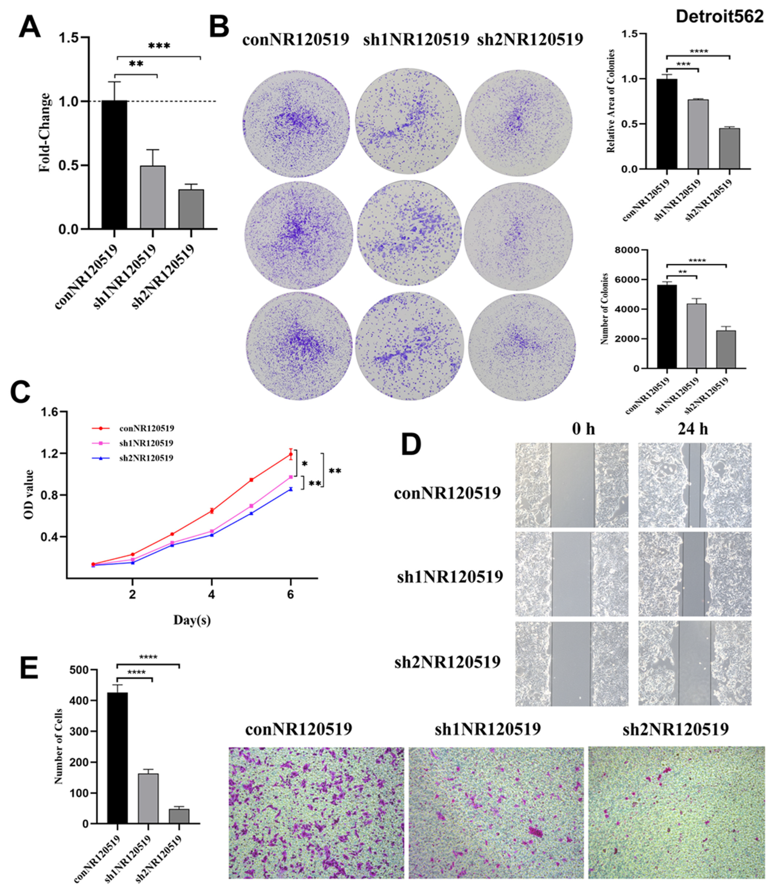 Cancers 15 00603 g002 Cancers 15 00603 g002
