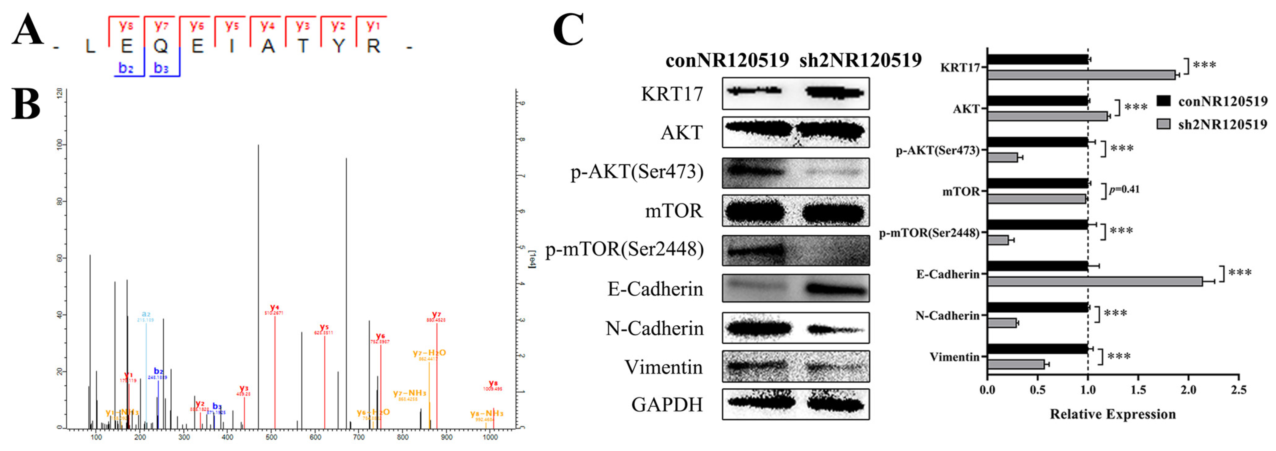 Cancers 15 00603 g003 Cancers 15 00603 g003