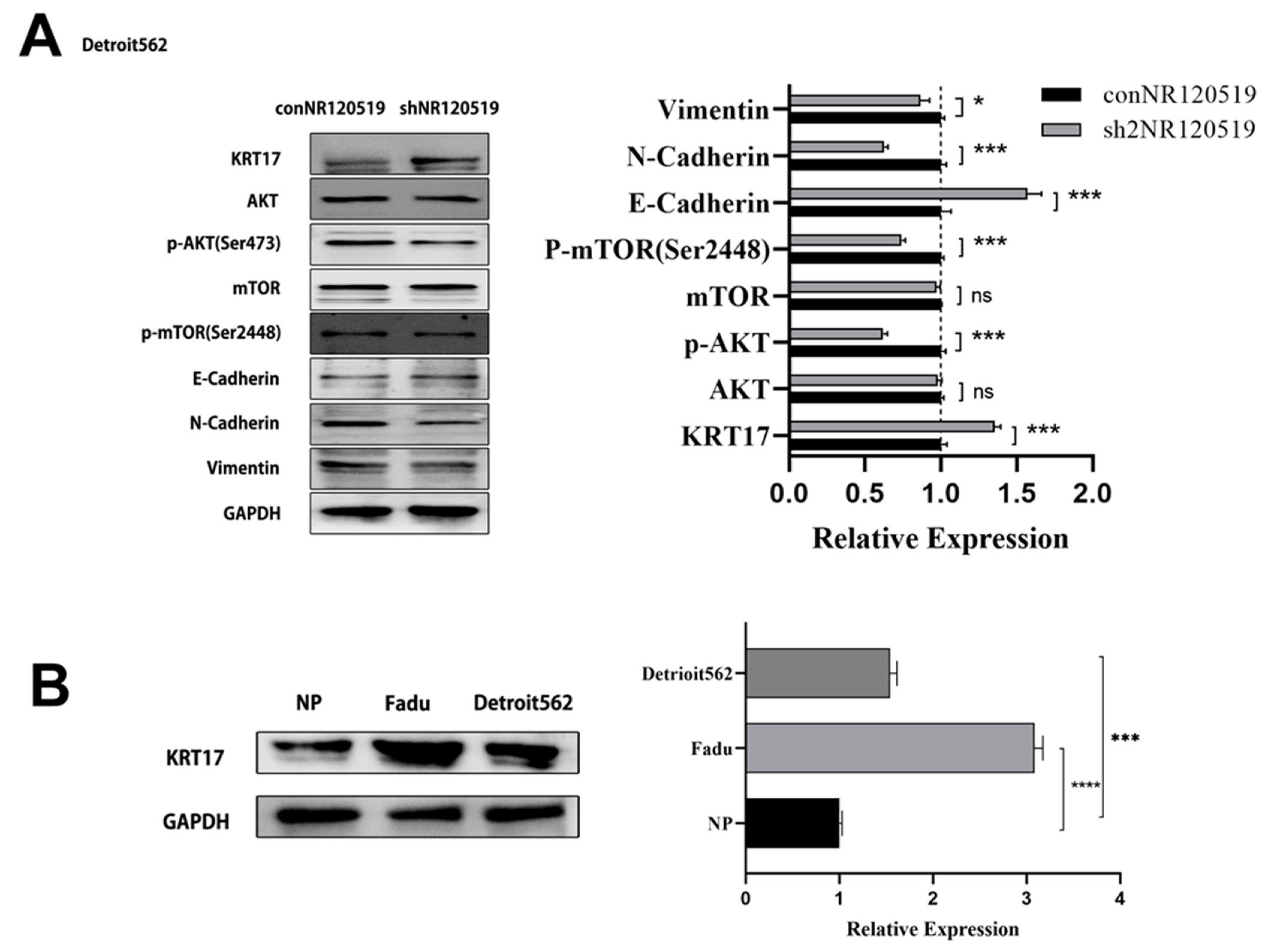 Cancers 15 00603 g004 Cancers 15 00603 g004