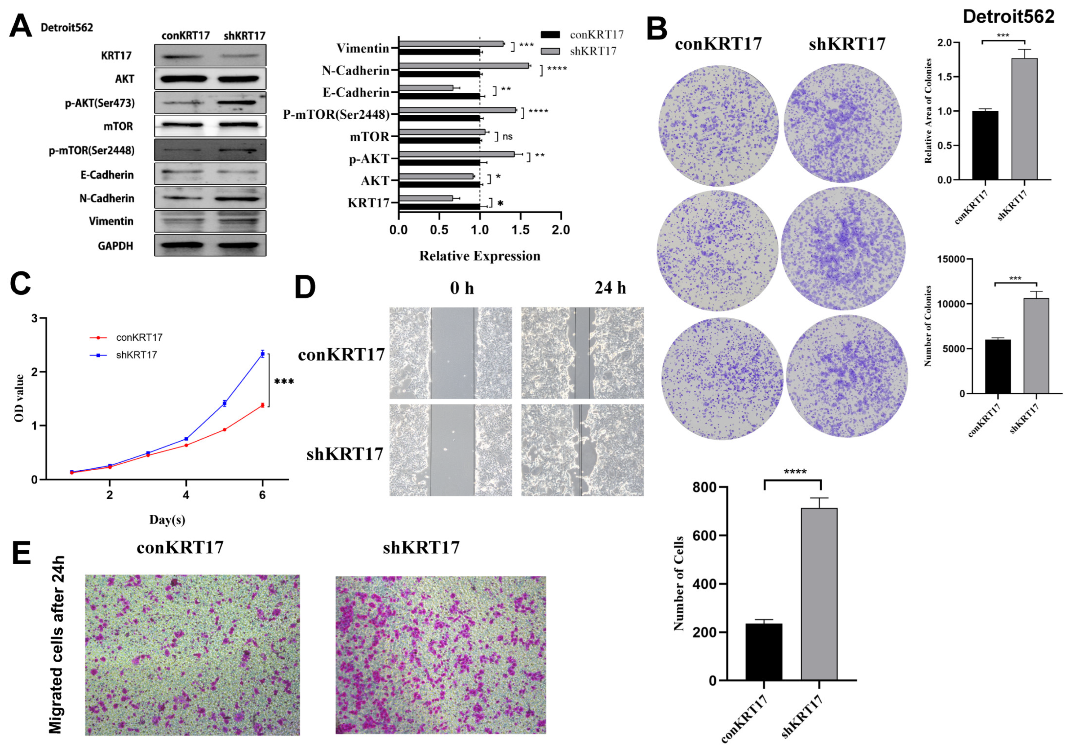 Cancers 15 00603 g006 Cancers 15 00603 g006