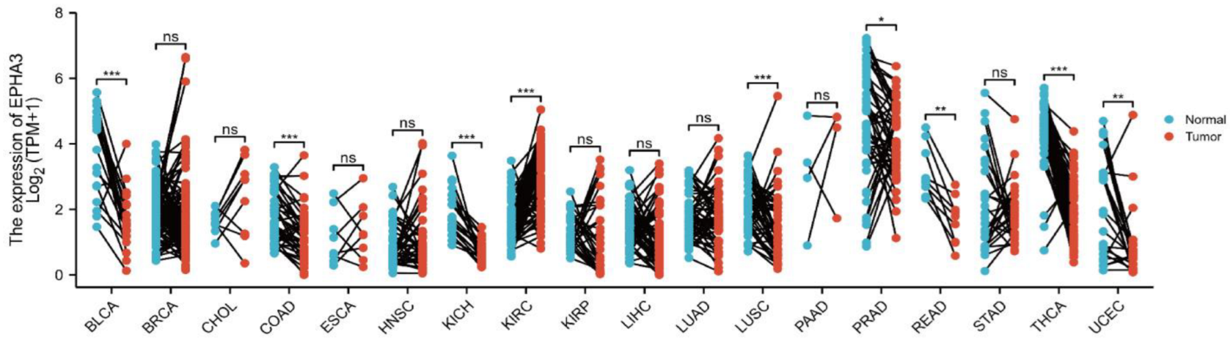 Cancers 15 00621 g002