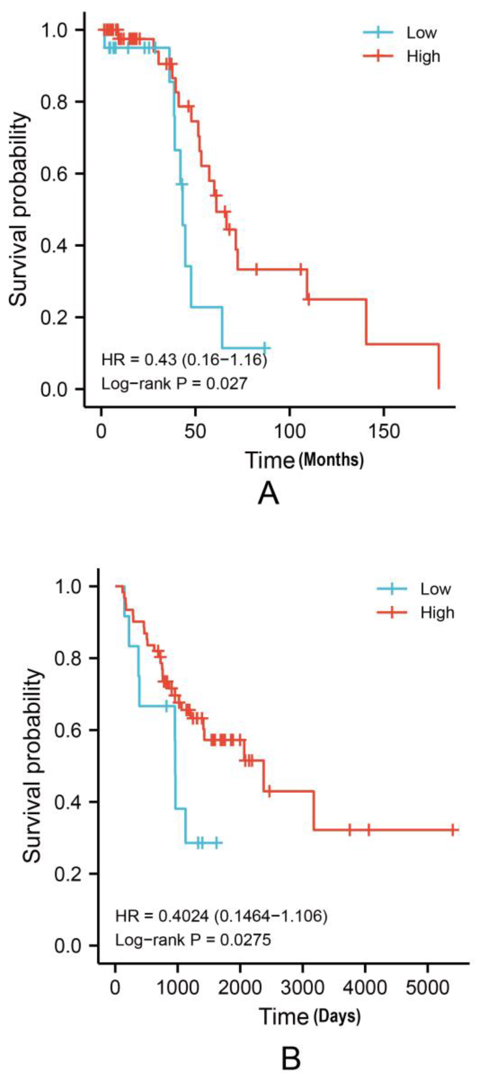 Cancers 15 00621 g003