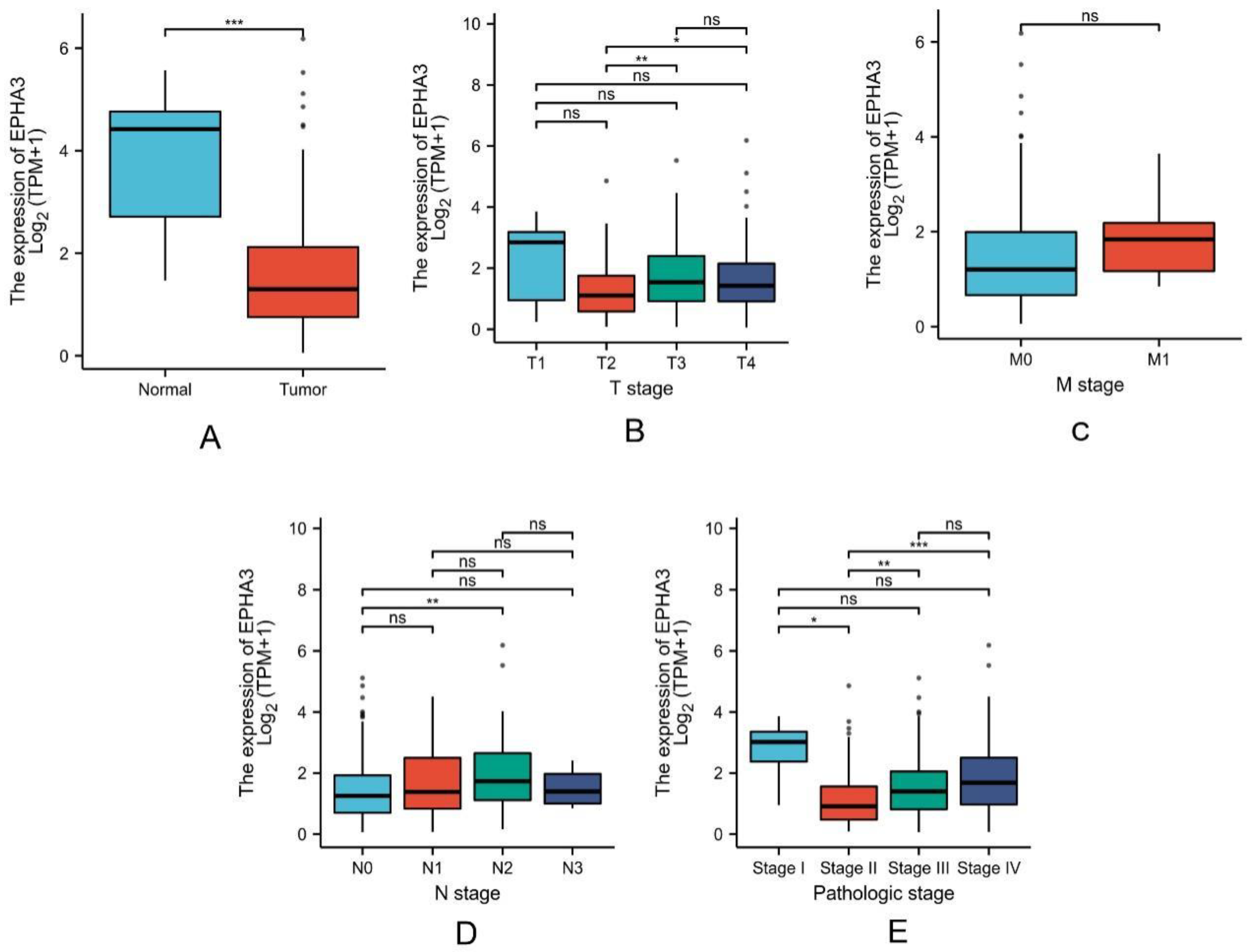 Cancers 15 00621 g005