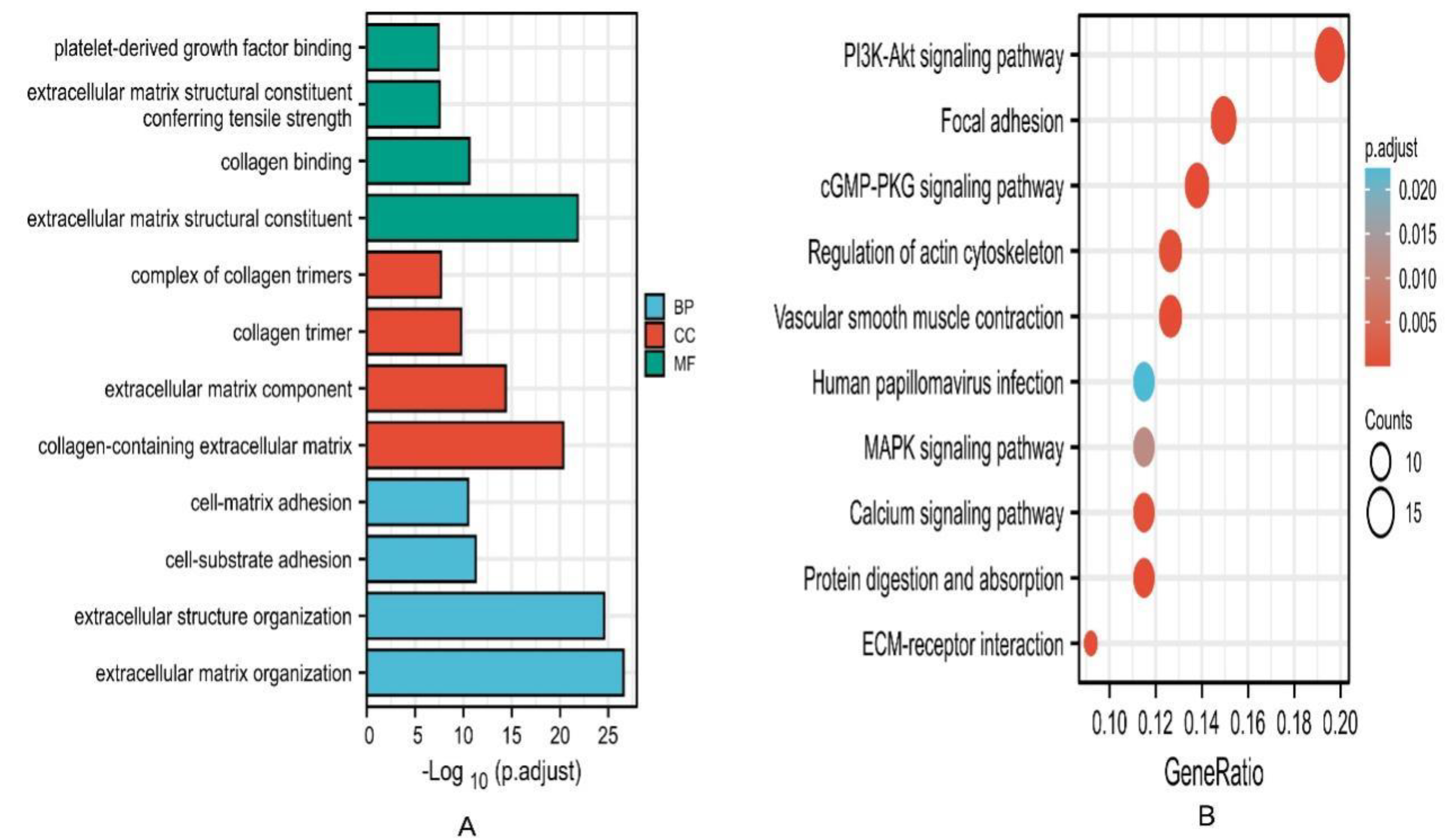 Cancers 15 00621 g007