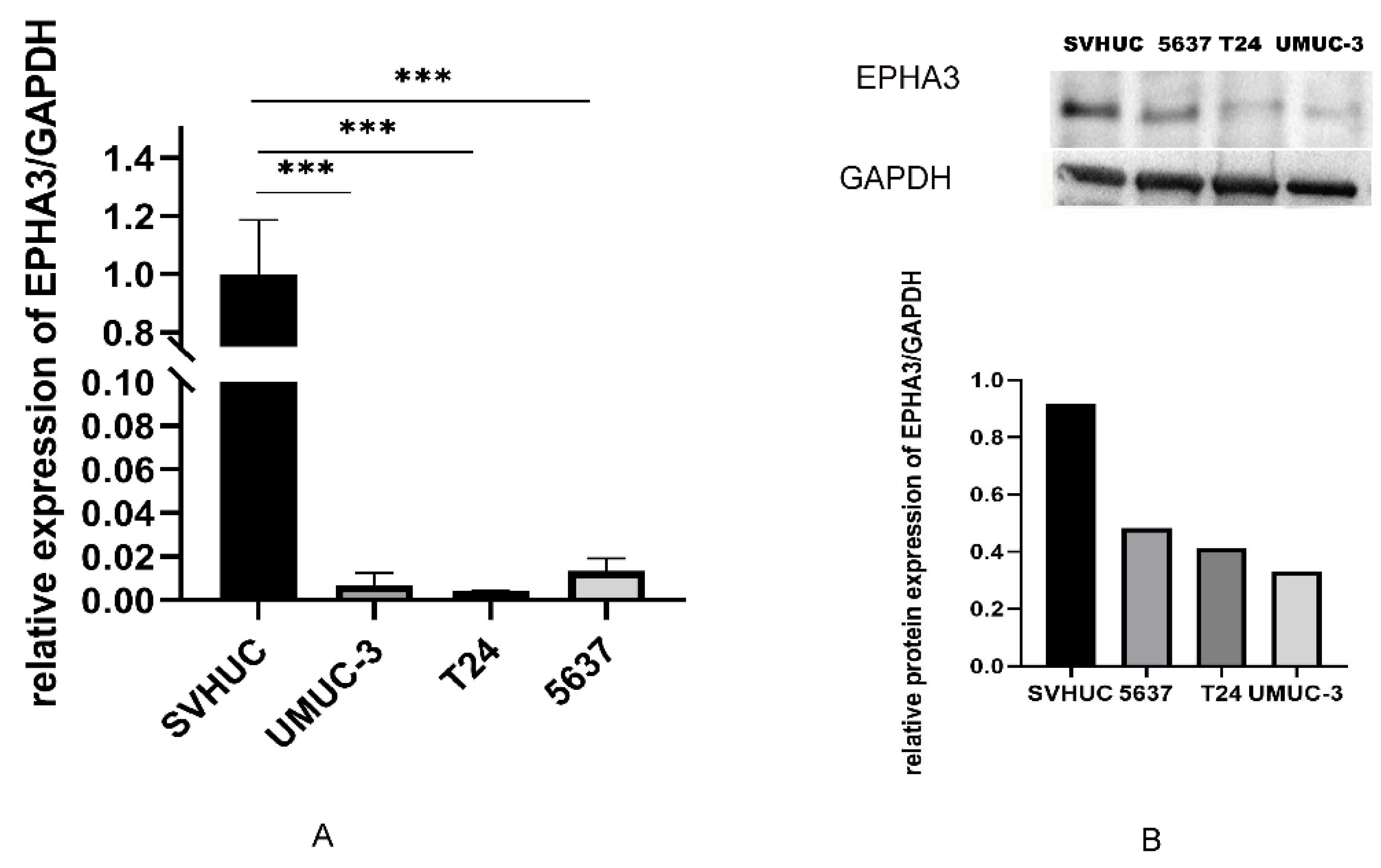 Cancers 15 00621 g009