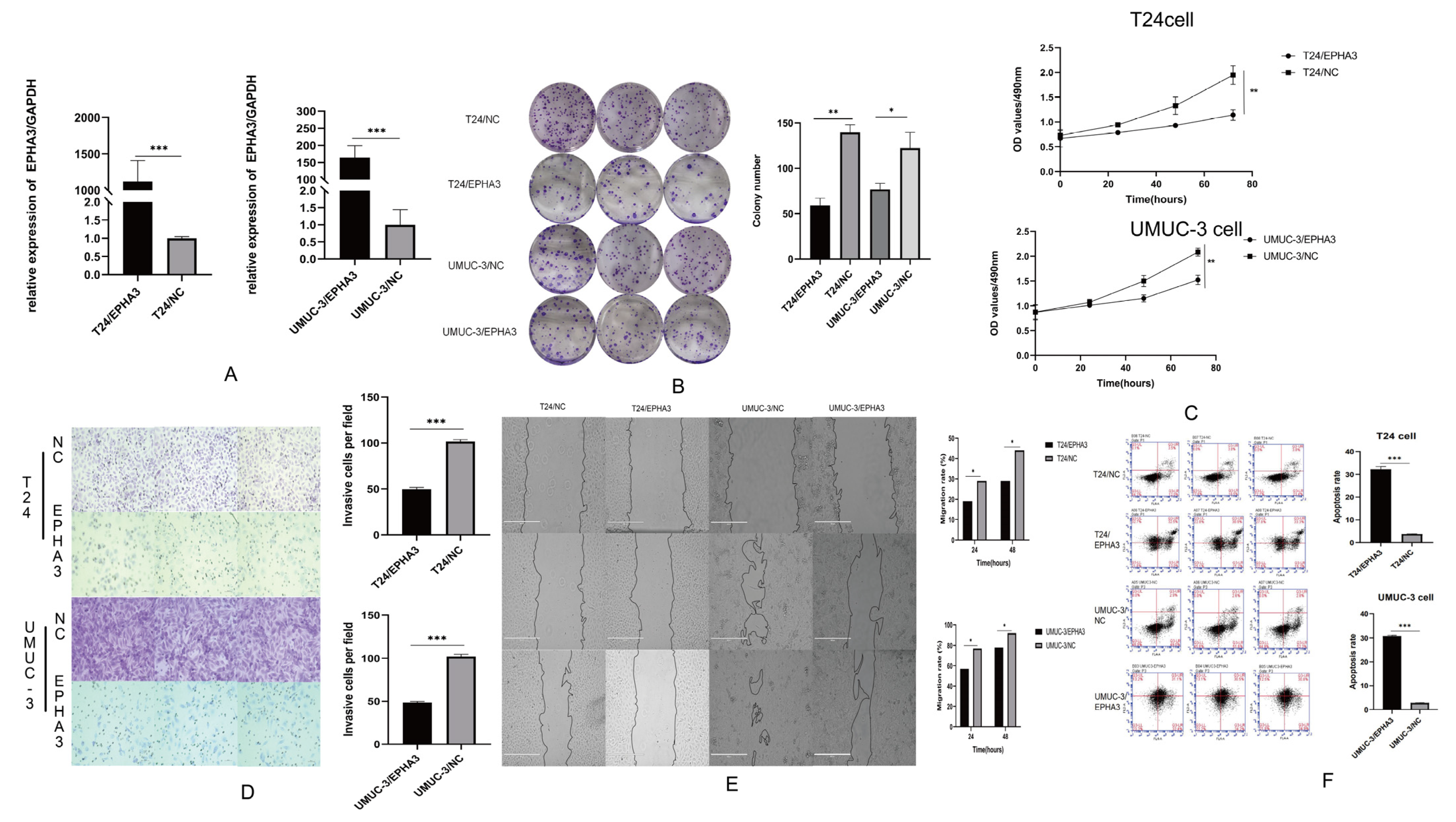 Cancers 15 00621 g010