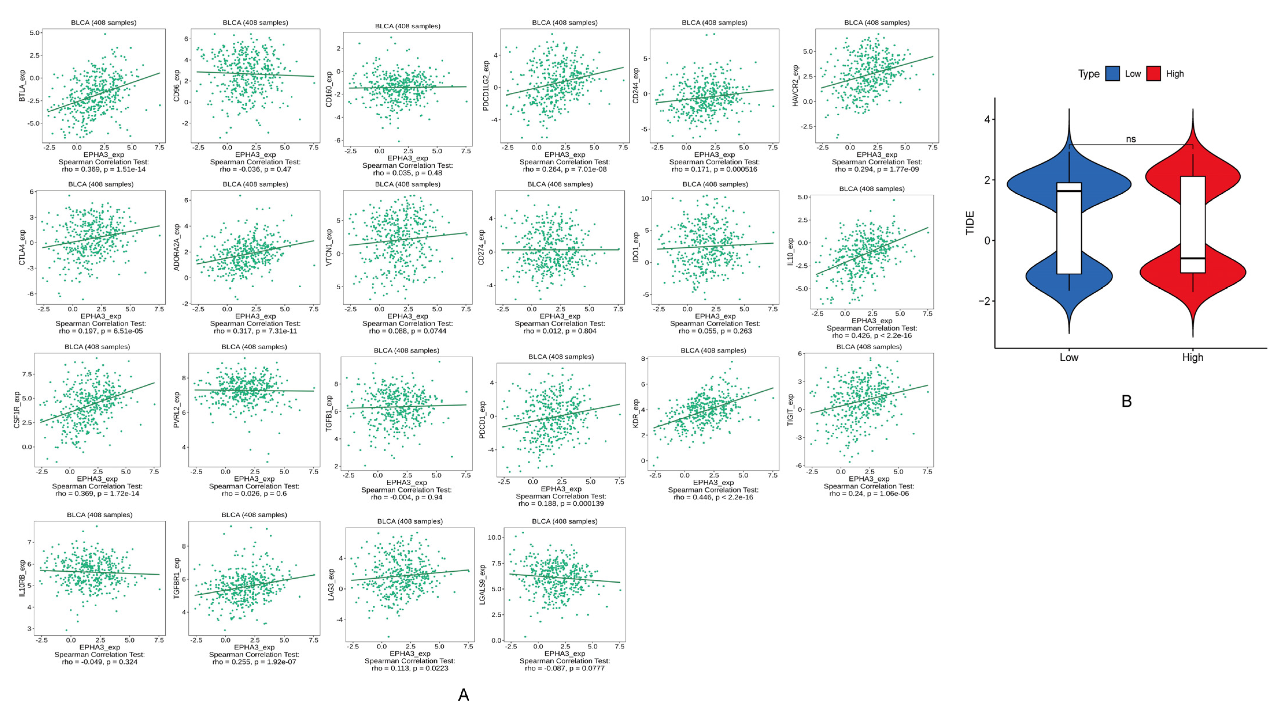 Cancers 15 00621 g014