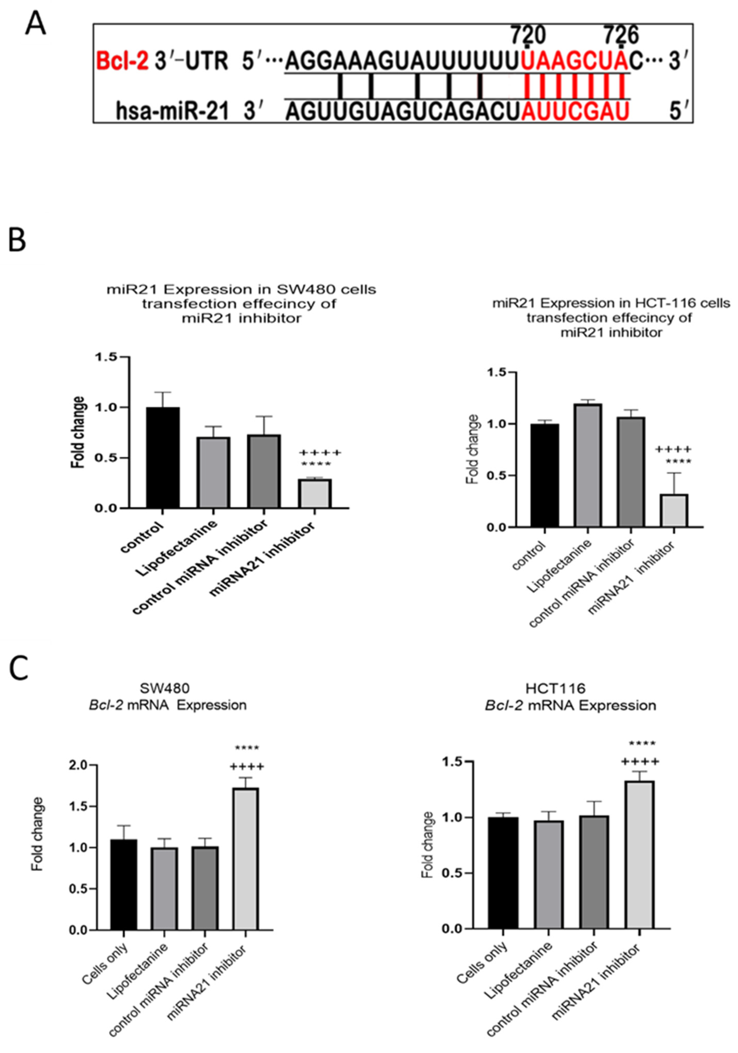 Cancers 15 00627 g009 Cancers 15 00627 g009