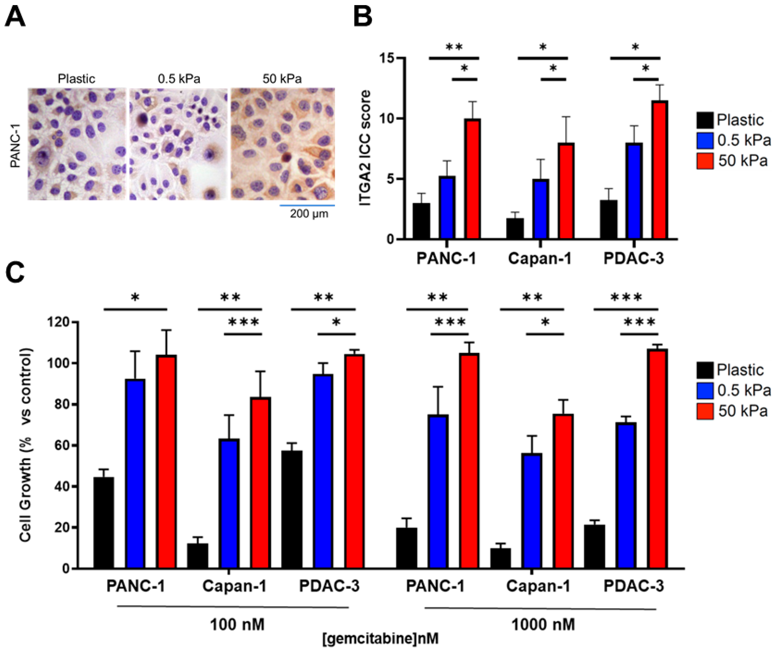 Cancers 15 00628 g003 Cancers 15 00628 g003
