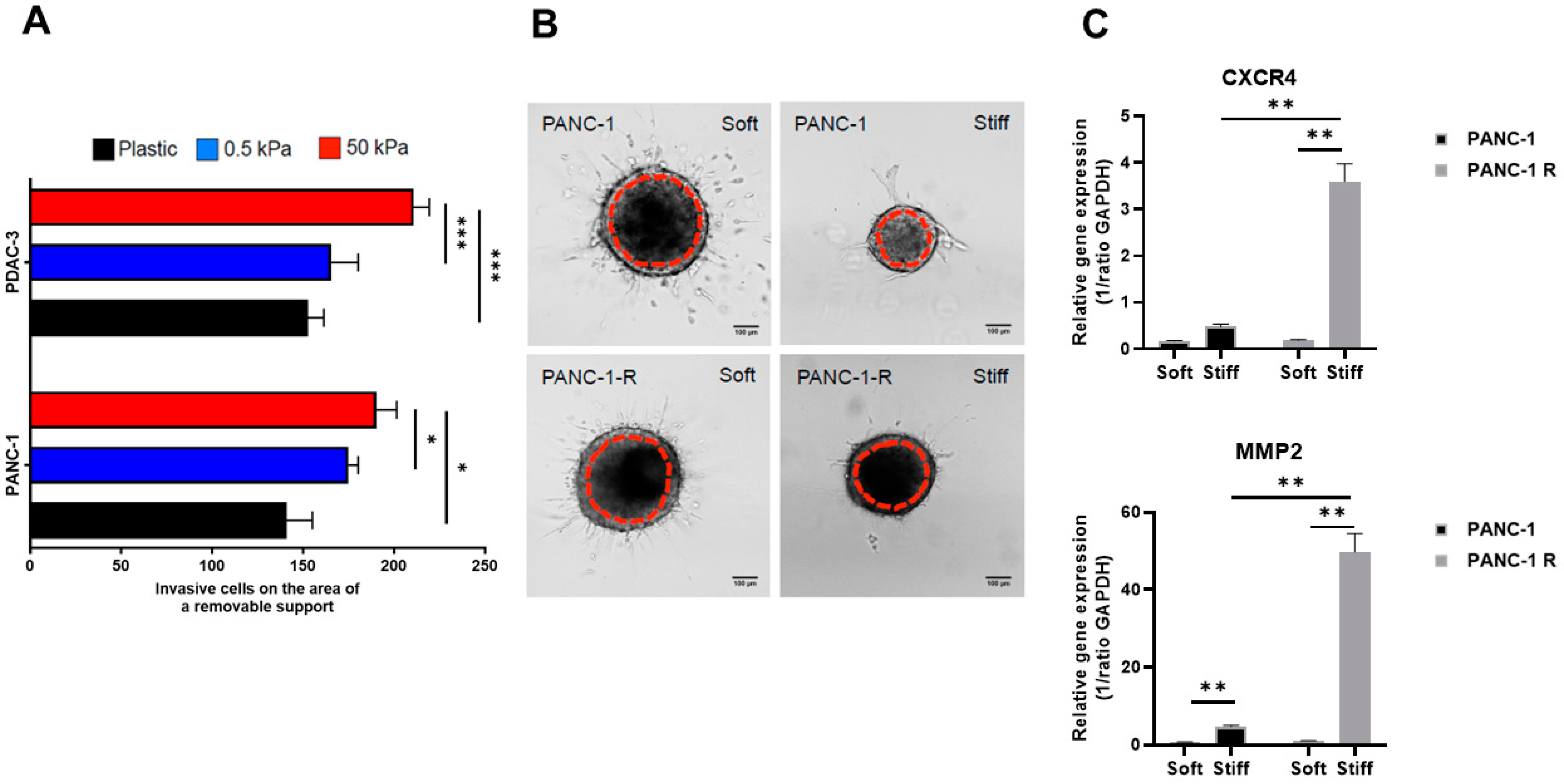 Cancers 15 00628 g004 Cancers 15 00628 g004