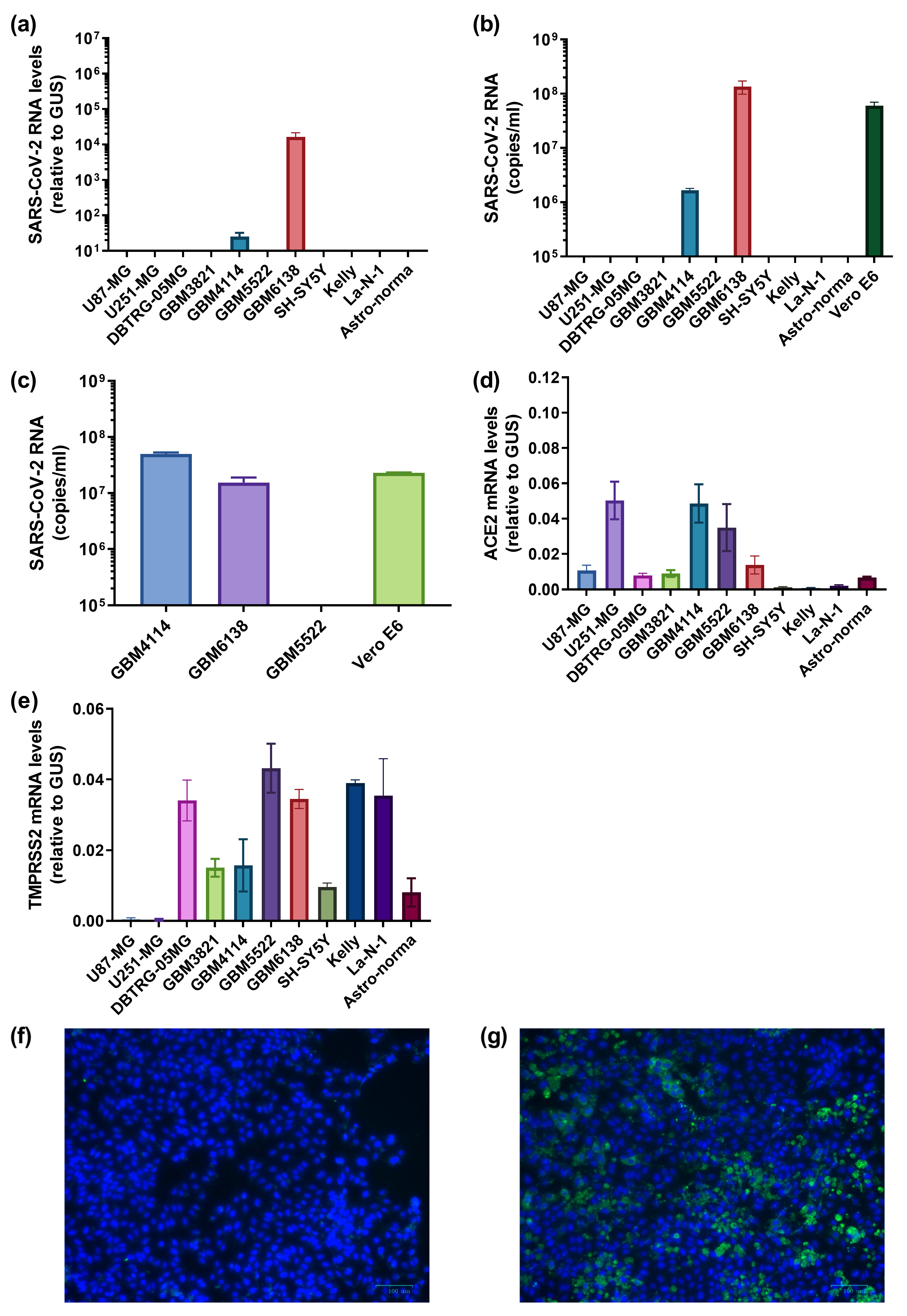 Cancers 15 00632 g004 Cancers 15 00632 g004