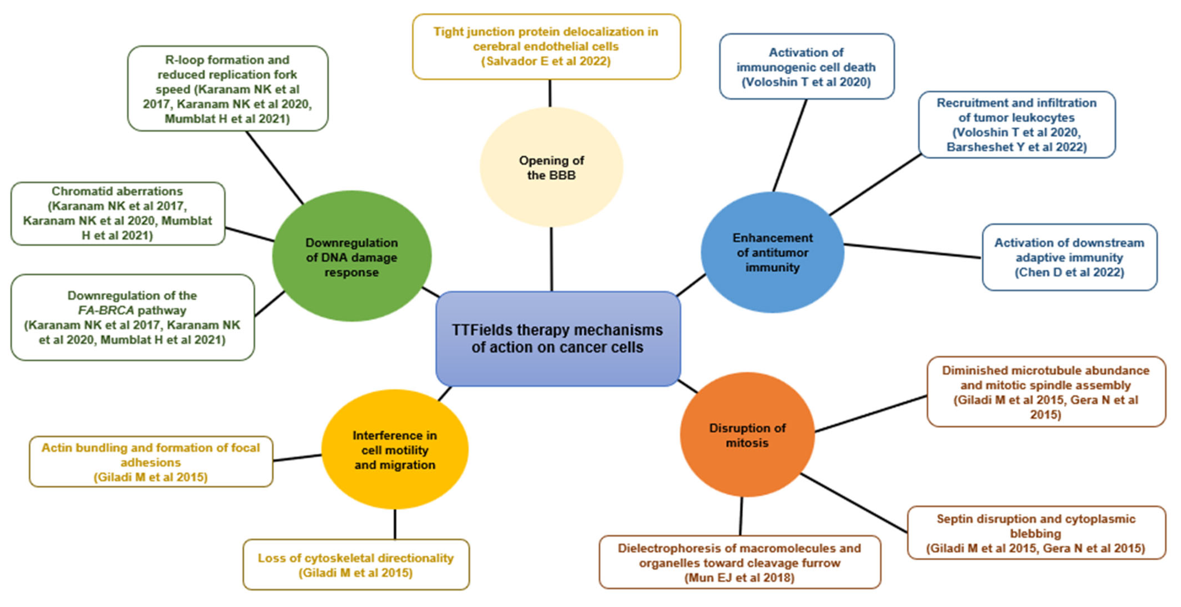 Cancers 15 00636 g002 Cancers 15 00636 g002