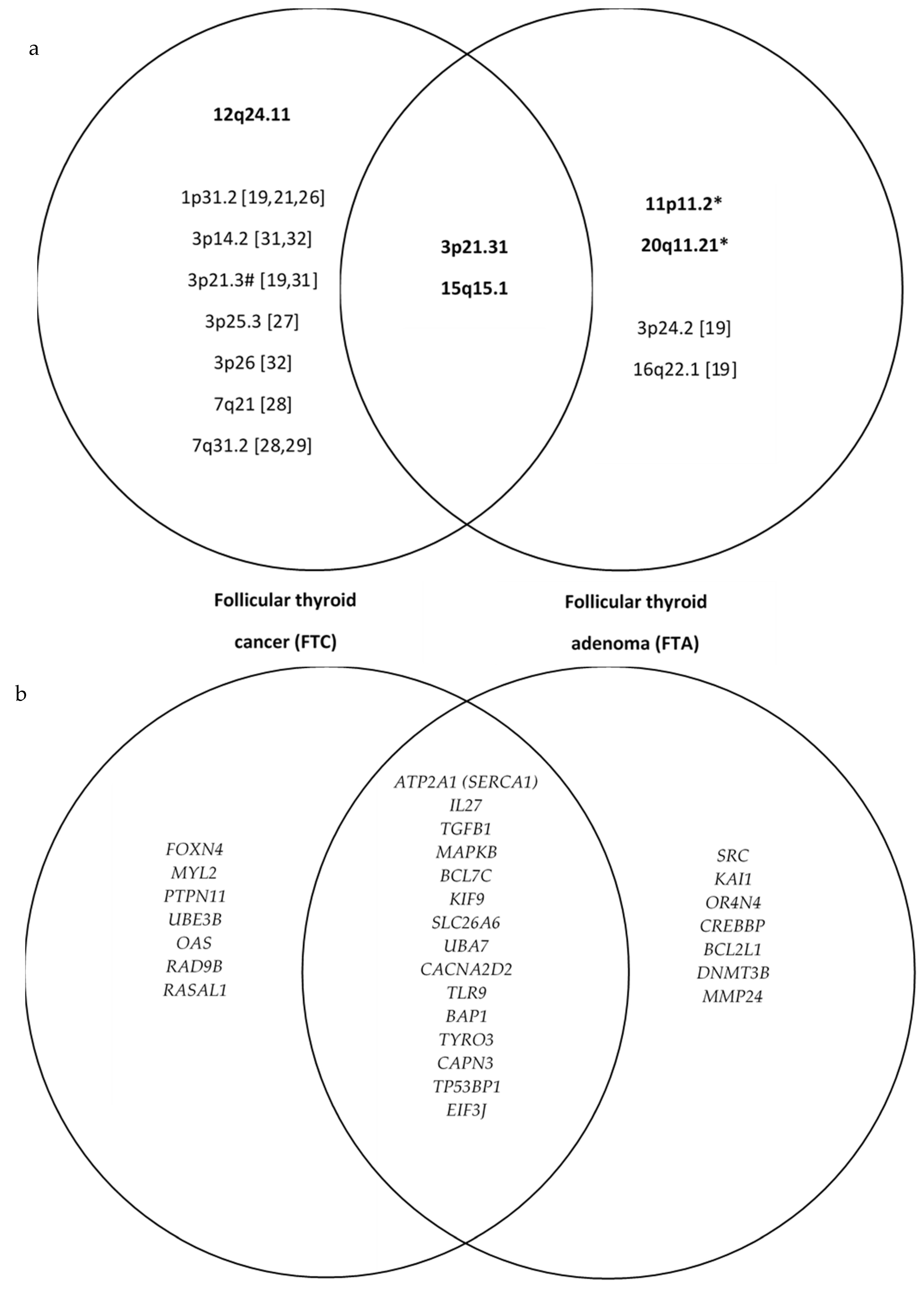 Cancers 15 00638 g001