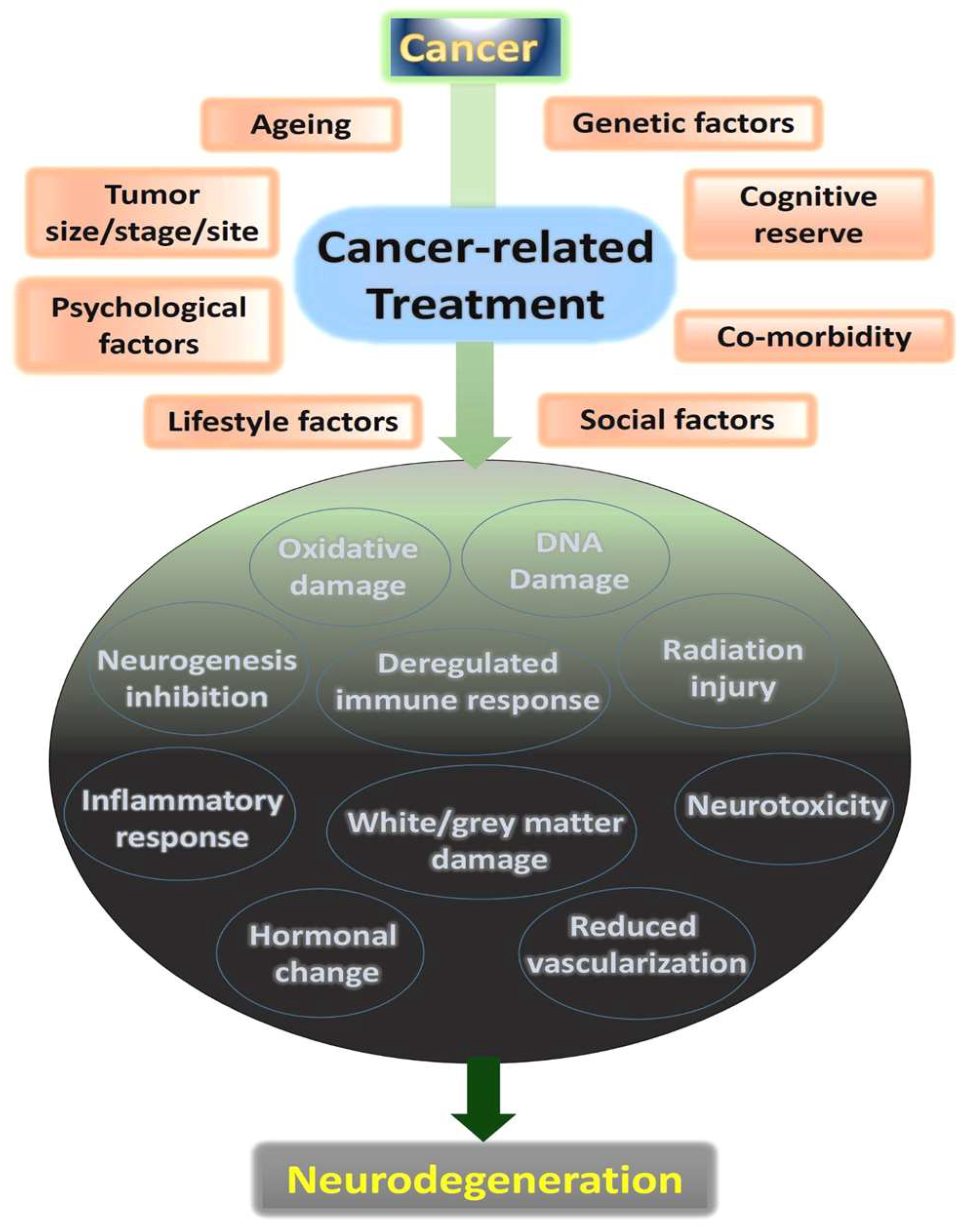 Cancers 15 00640 g001 Cancers 15 00640 g001