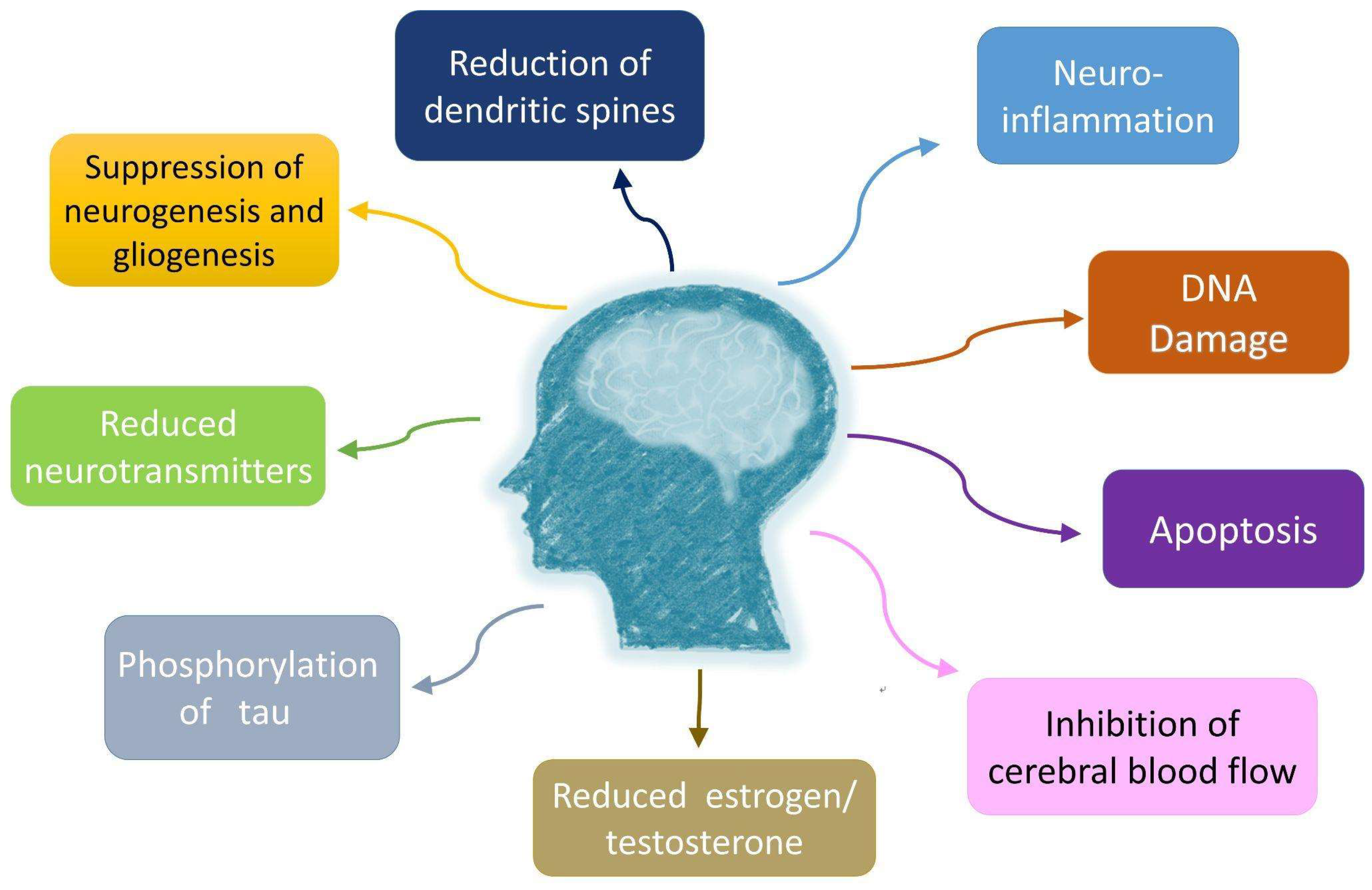 Cancers 15 00640 g002 Cancers 15 00640 g002