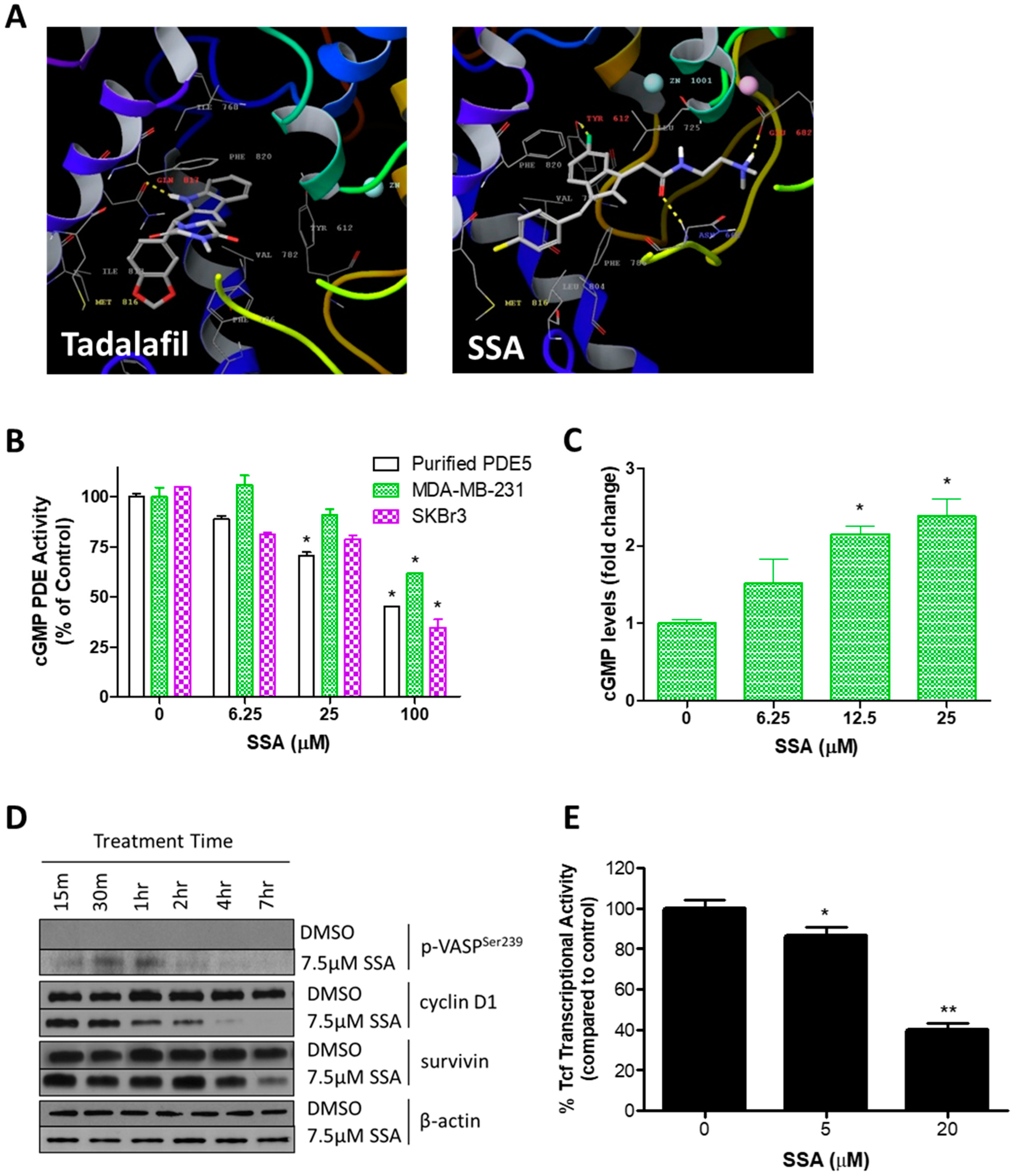 Cancers 15 00646 g003 Cancers 15 00646 g003