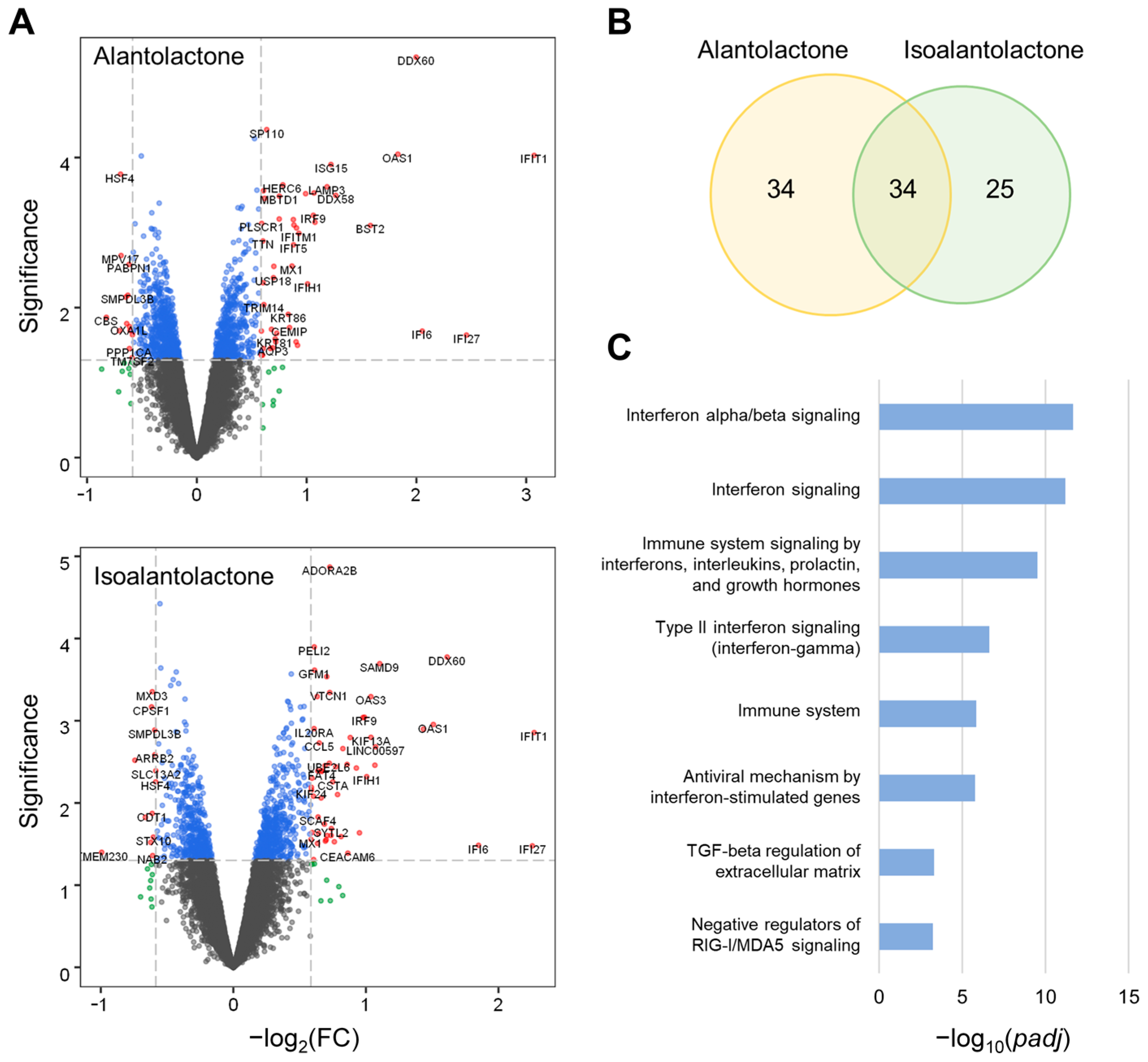 Cancers 15 00653 g002