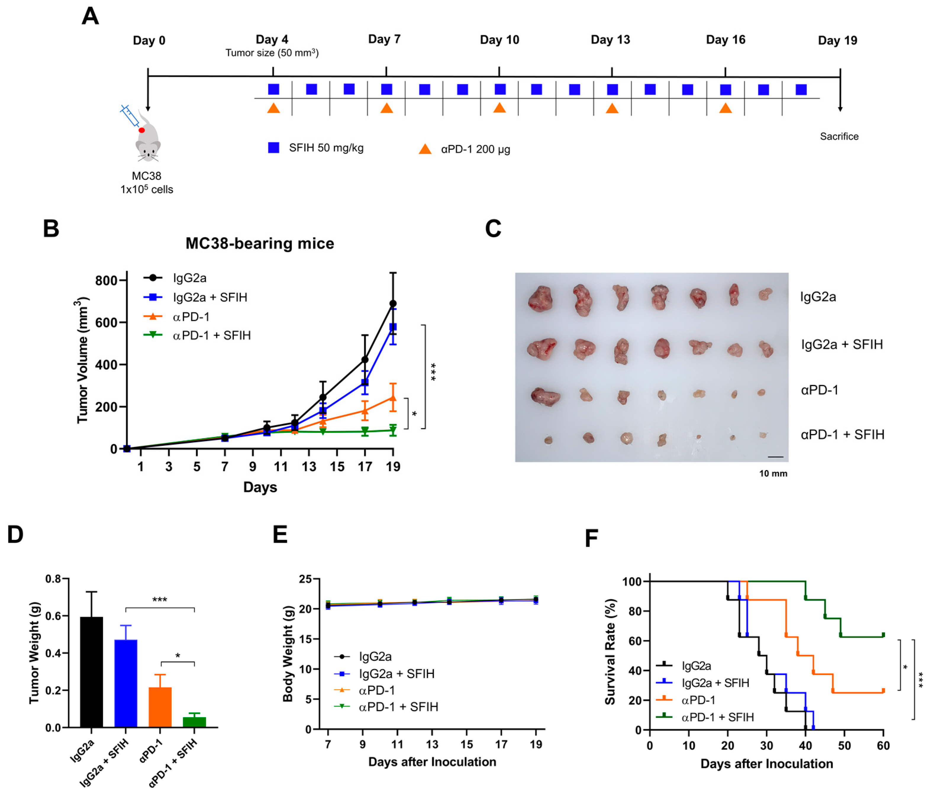 Cancers 15 00653 g003