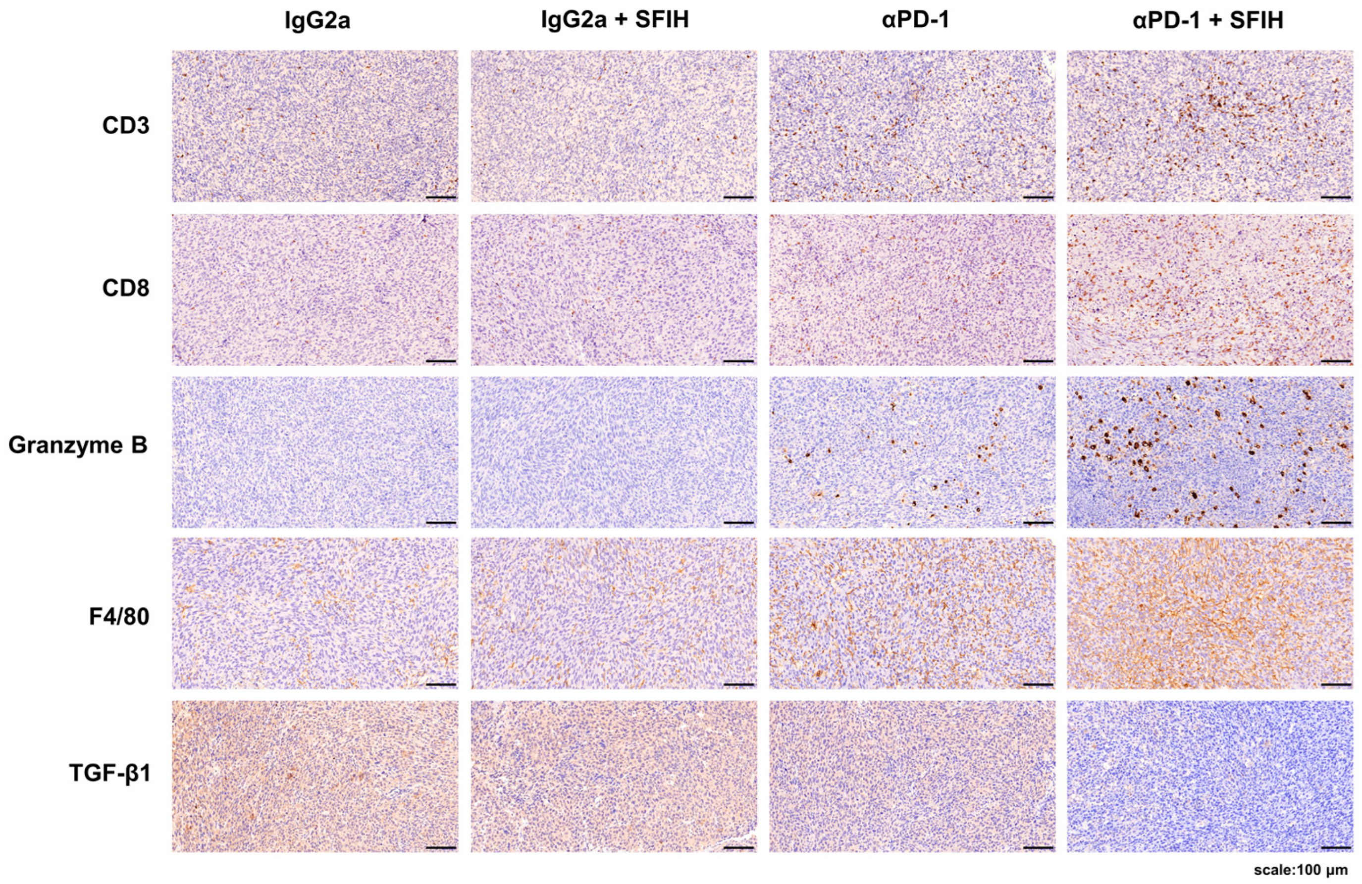 Cancers 15 00653 g004