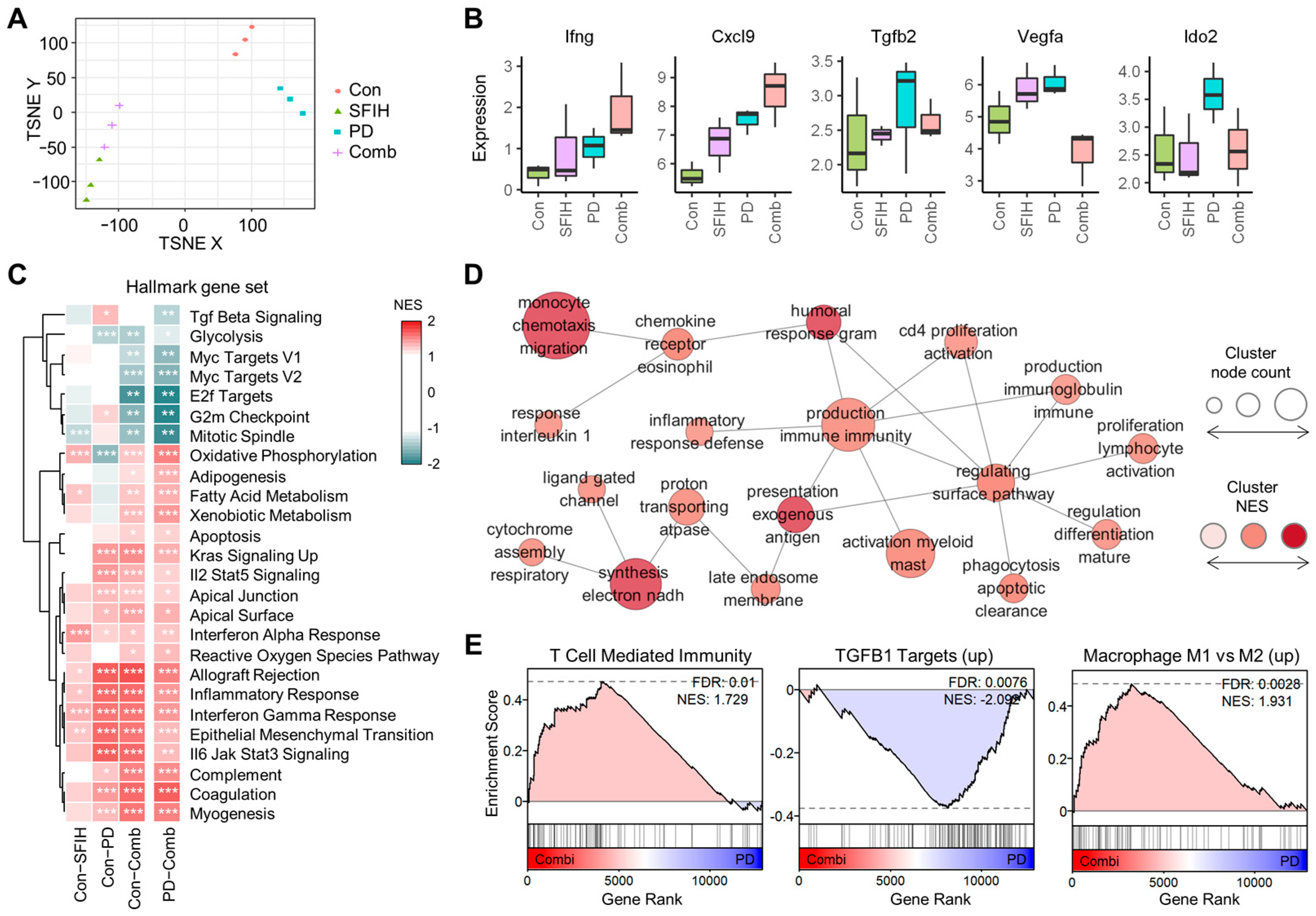 Cancers 15 00653 g006