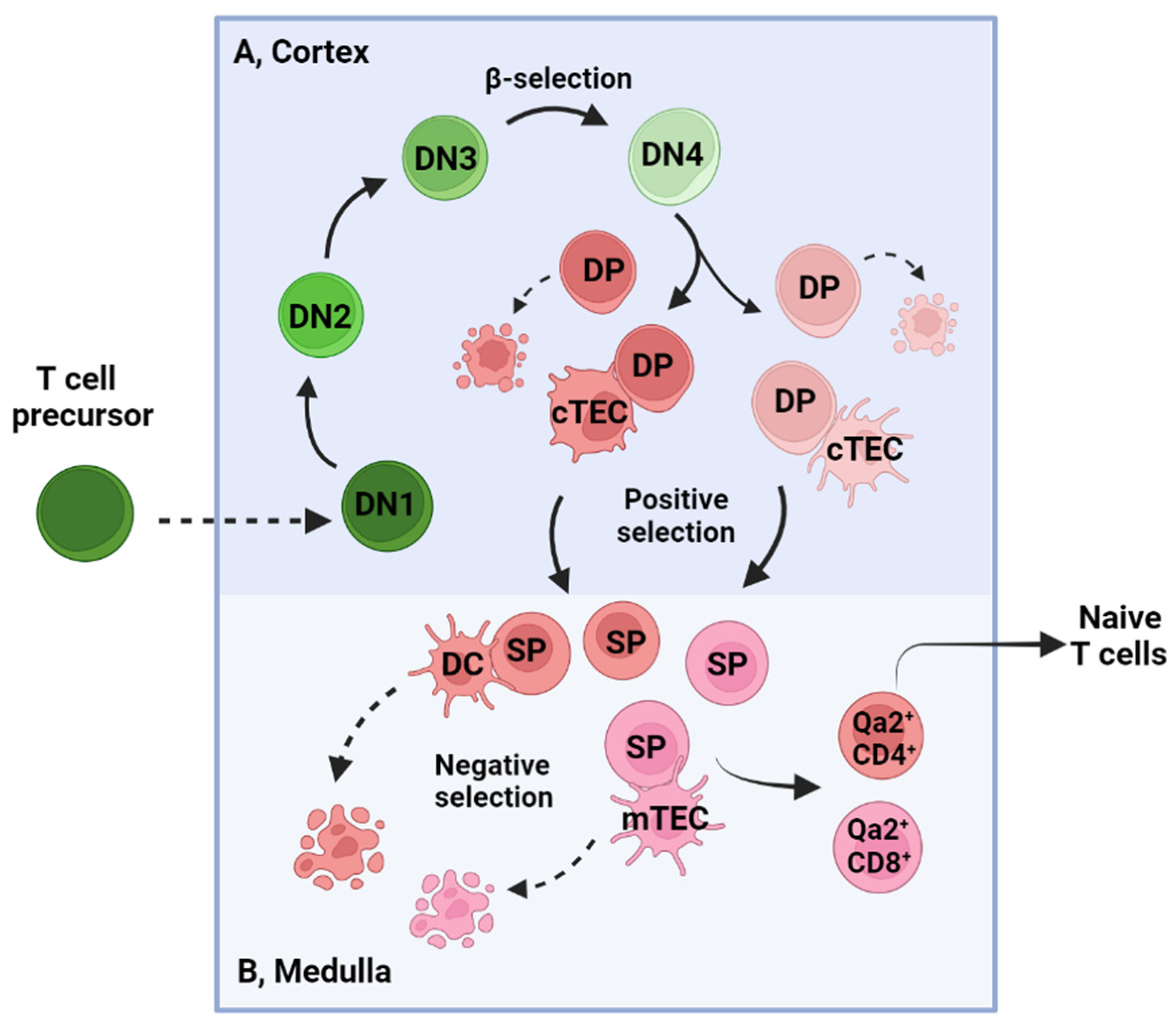 Cancers 15 00657 g001 Cancers 15 00657 g001