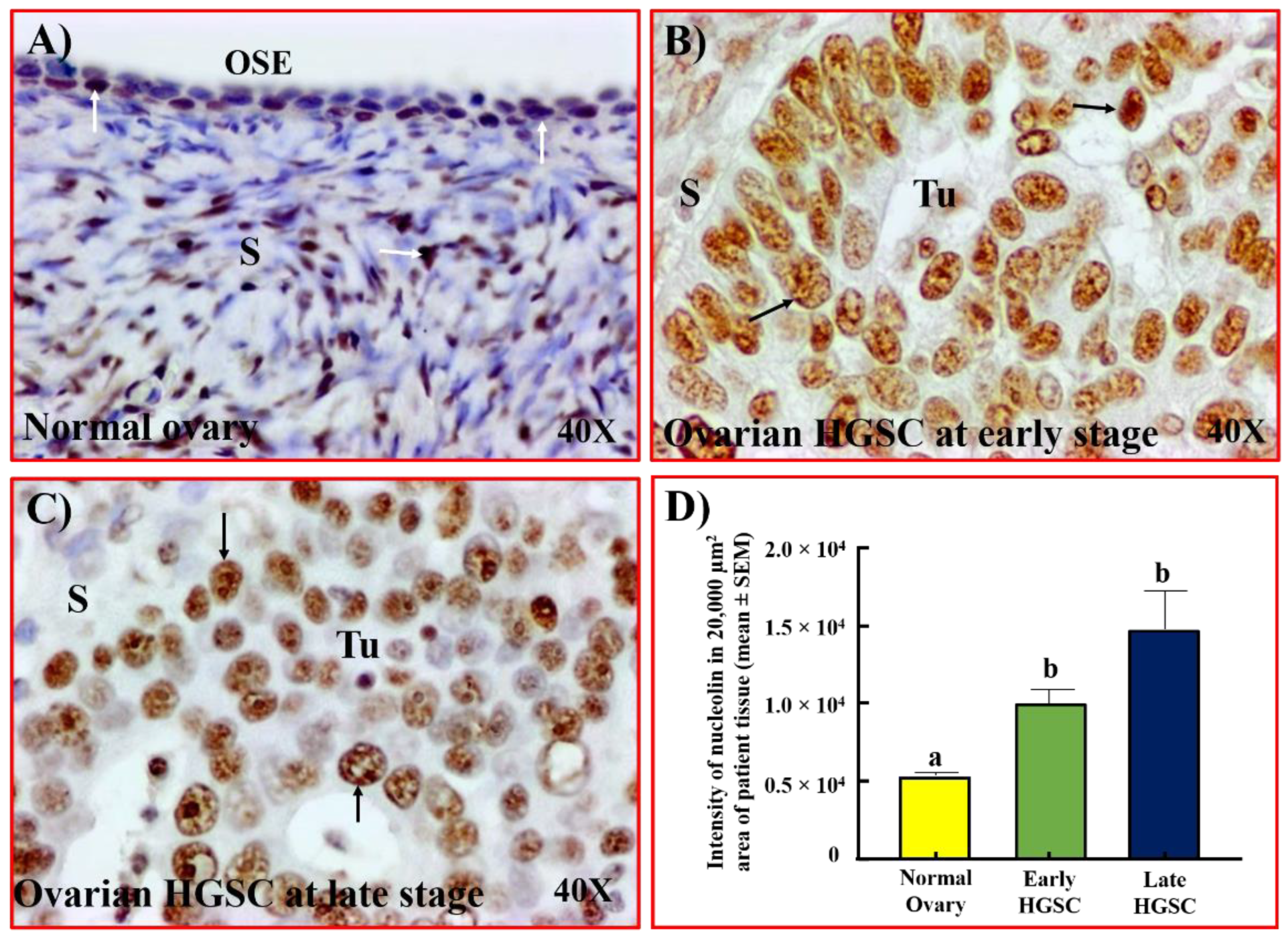 Cancers 15 00661 g001 Cancers 15 00661 g001
