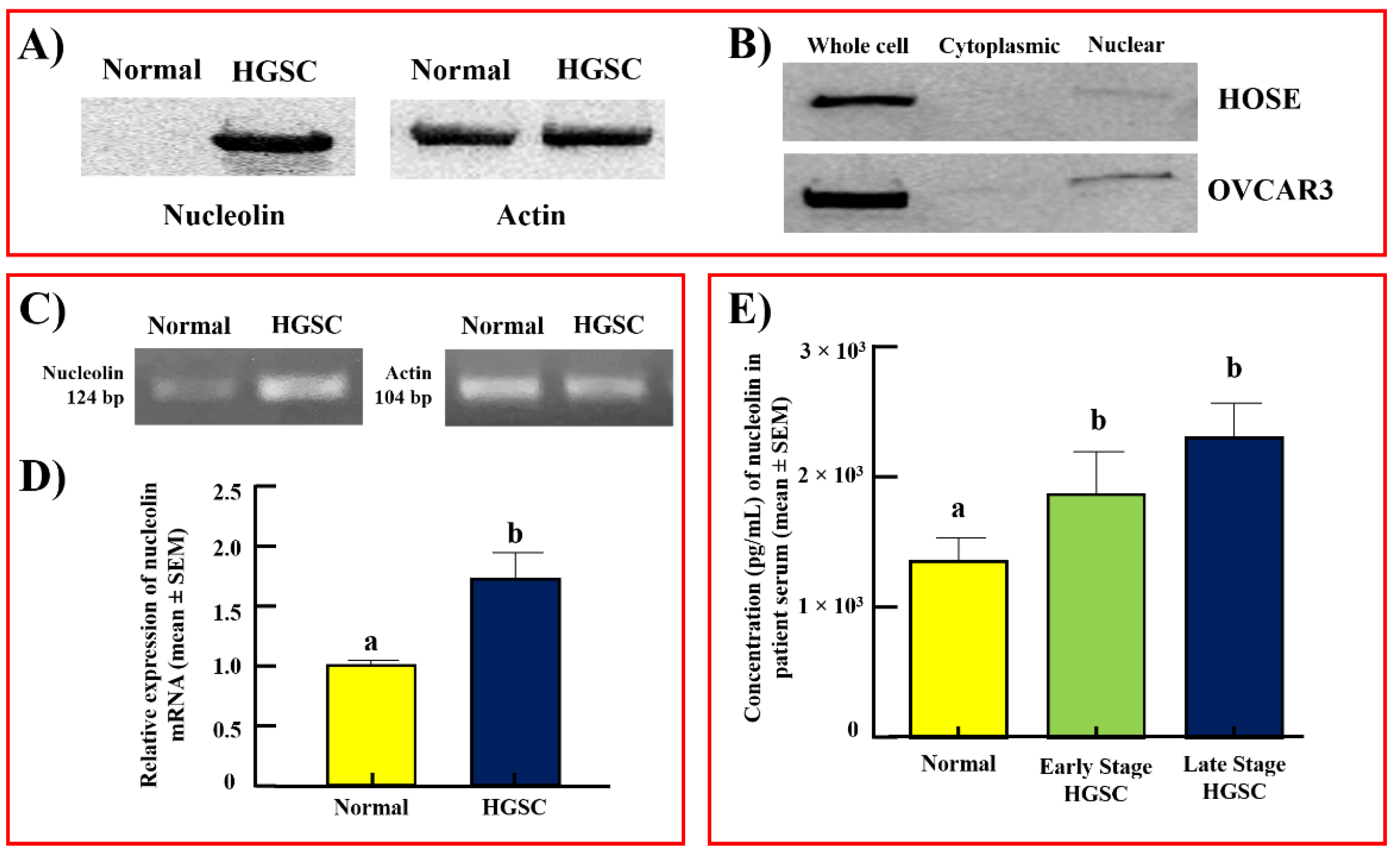 Cancers 15 00661 g002 Cancers 15 00661 g002
