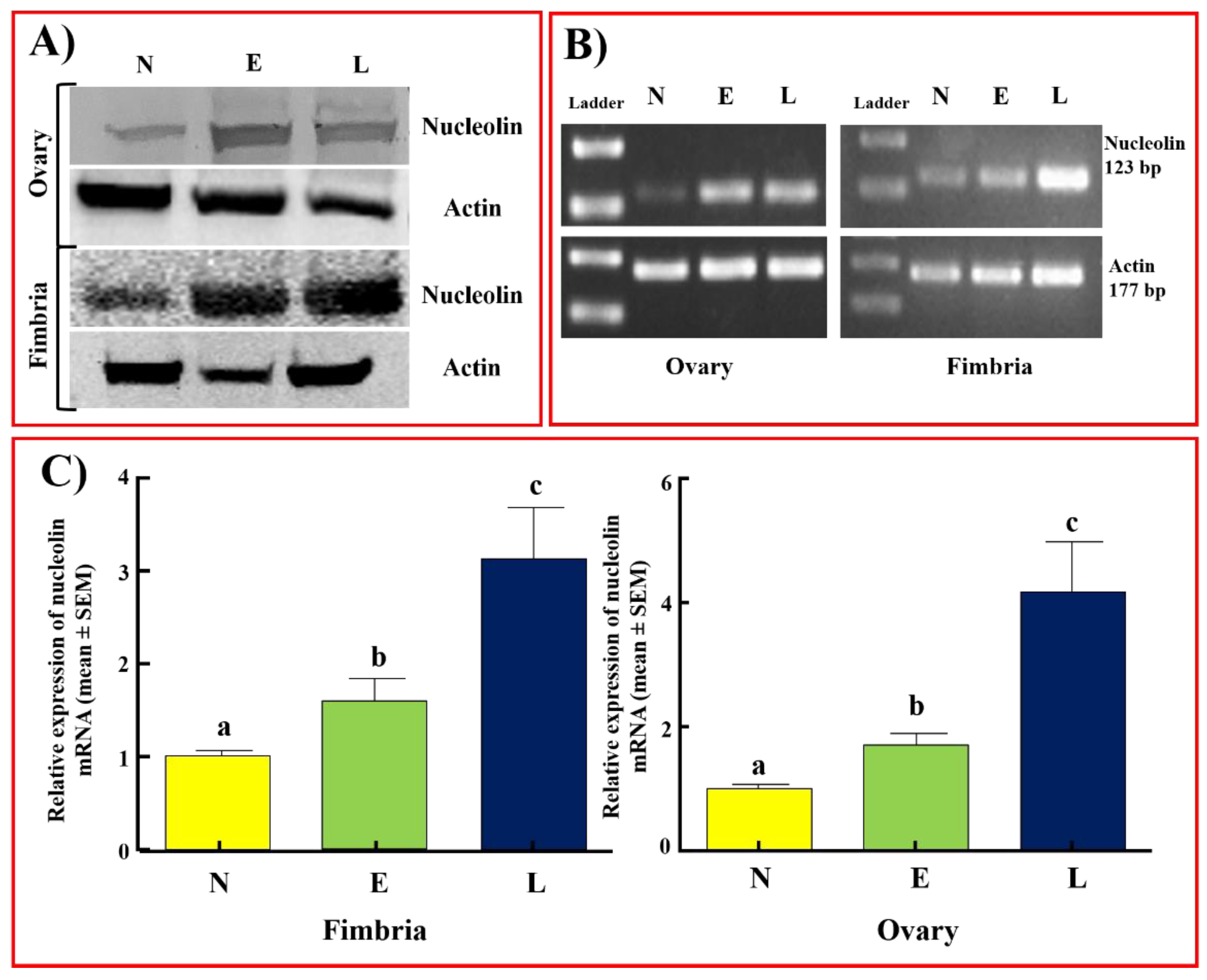 Cancers 15 00661 g006 Cancers 15 00661 g006