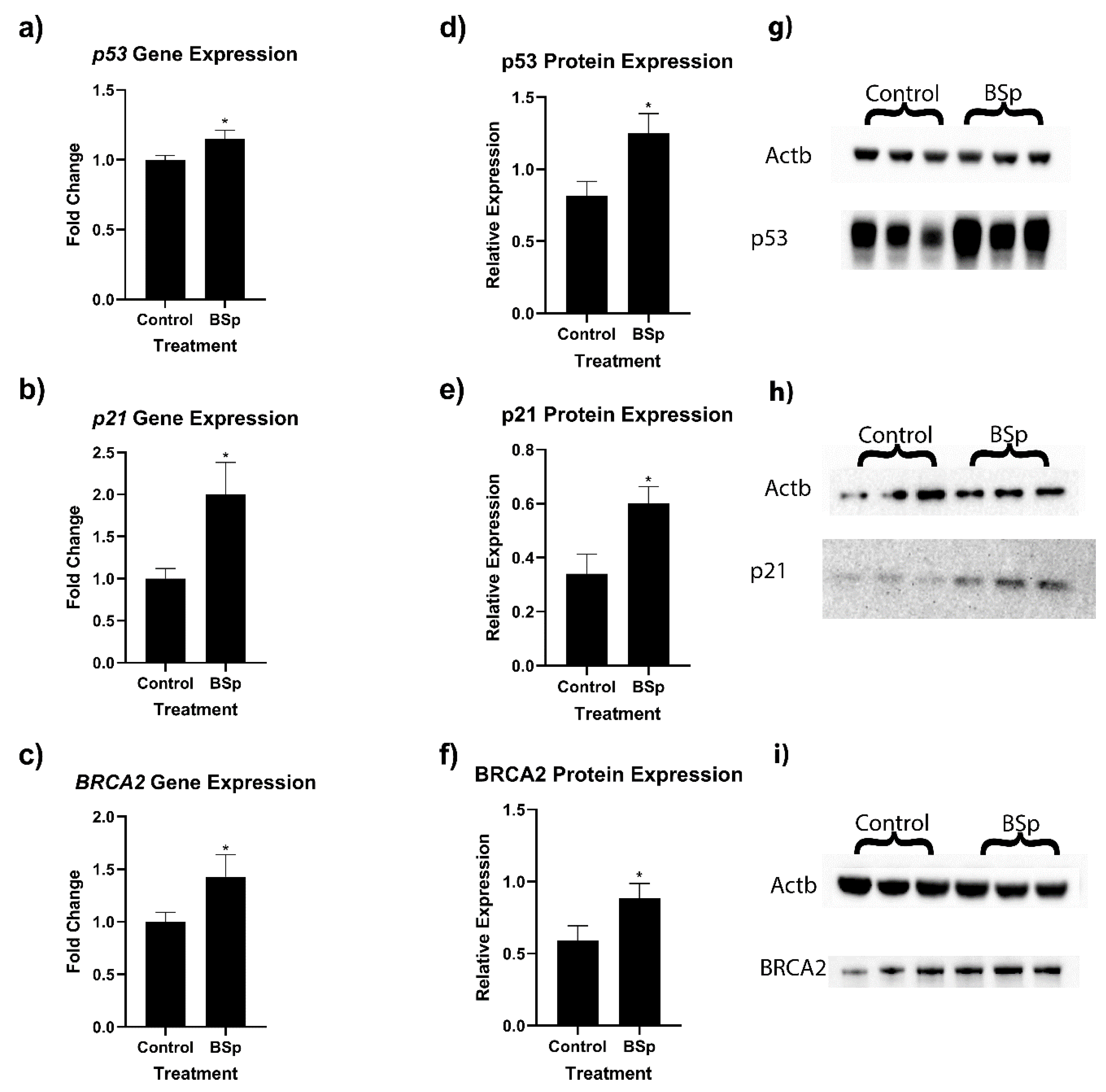 Cancers 15 00674 g004 Cancers 15 00674 g004