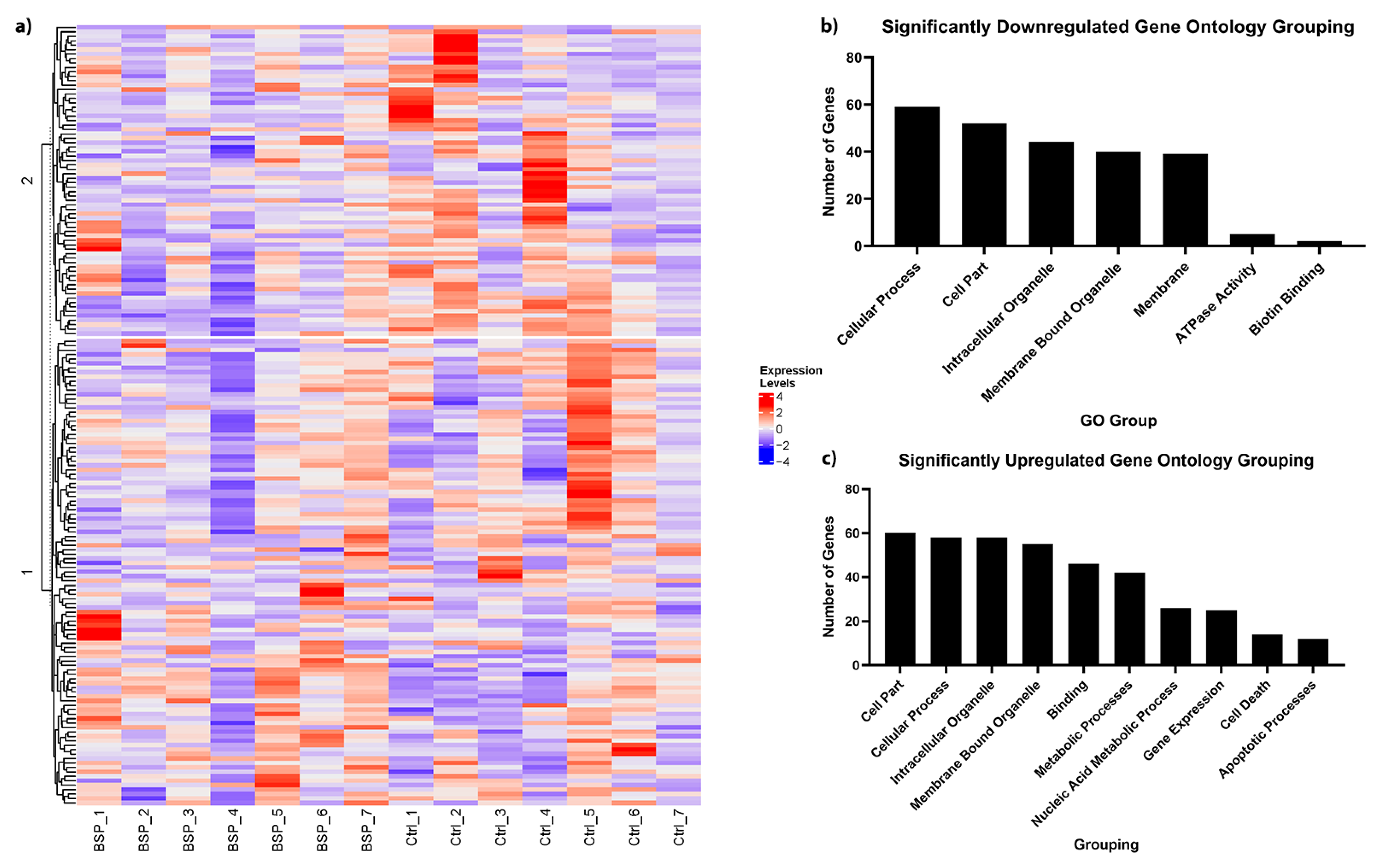 Cancers 15 00674 g005 Cancers 15 00674 g005