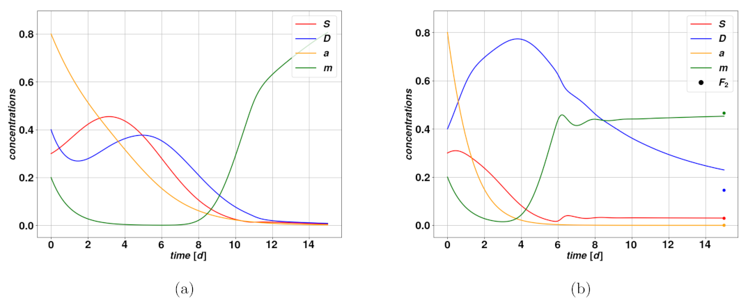 Cancers 15 00677 g001