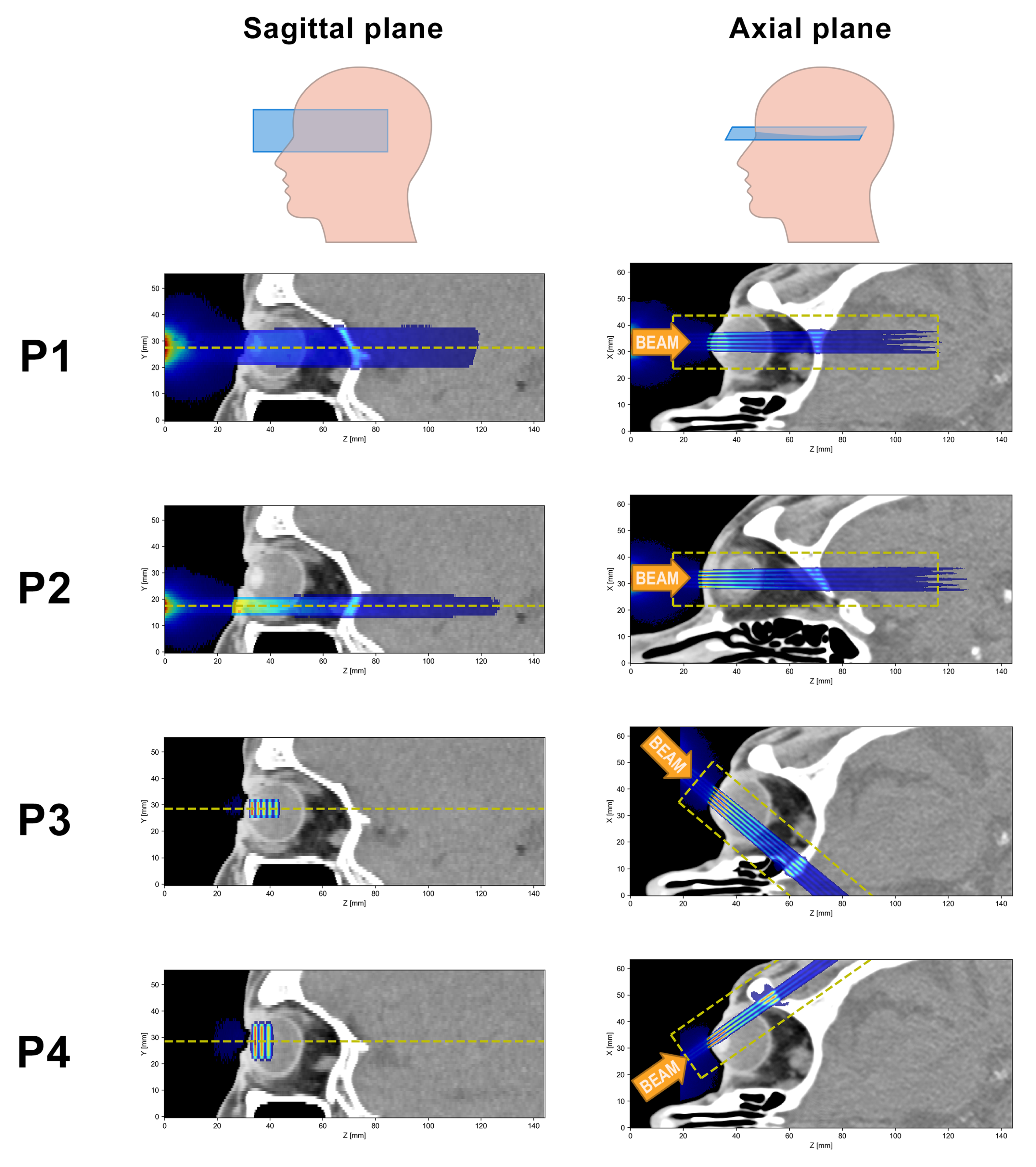 Cancers 15 00679 g002 Cancers 15 00679 g002