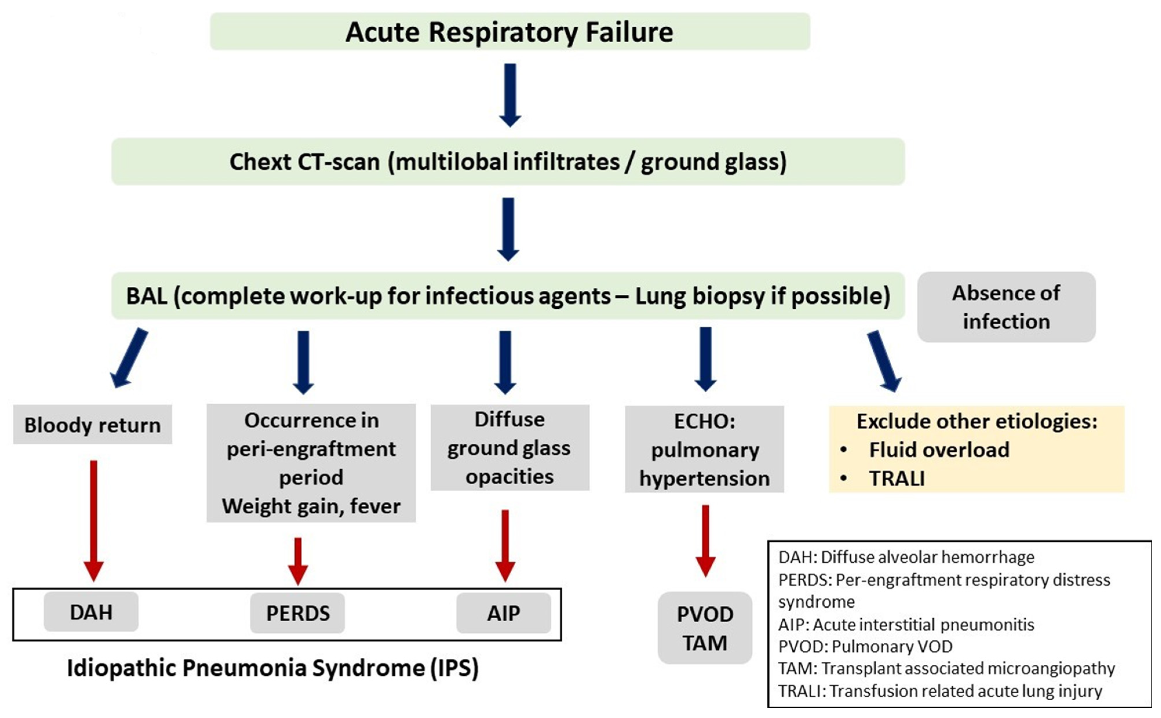 Cancers Free Full-Text Endothelial Dysfunction Syndromes after Allogeneic Stem Cell Transplantation