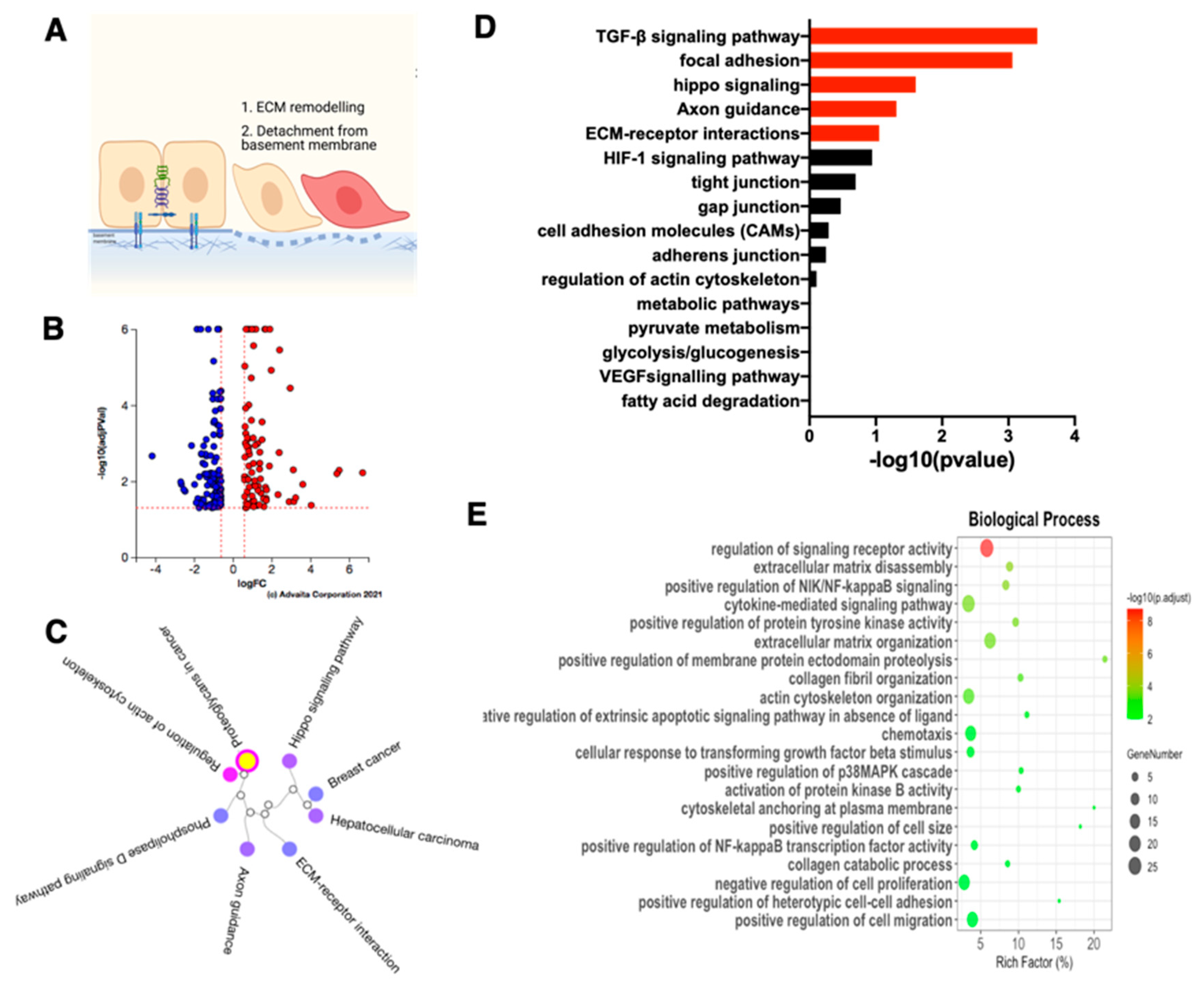 Cancers 15 00684 g003 Cancers 15 00684 g003